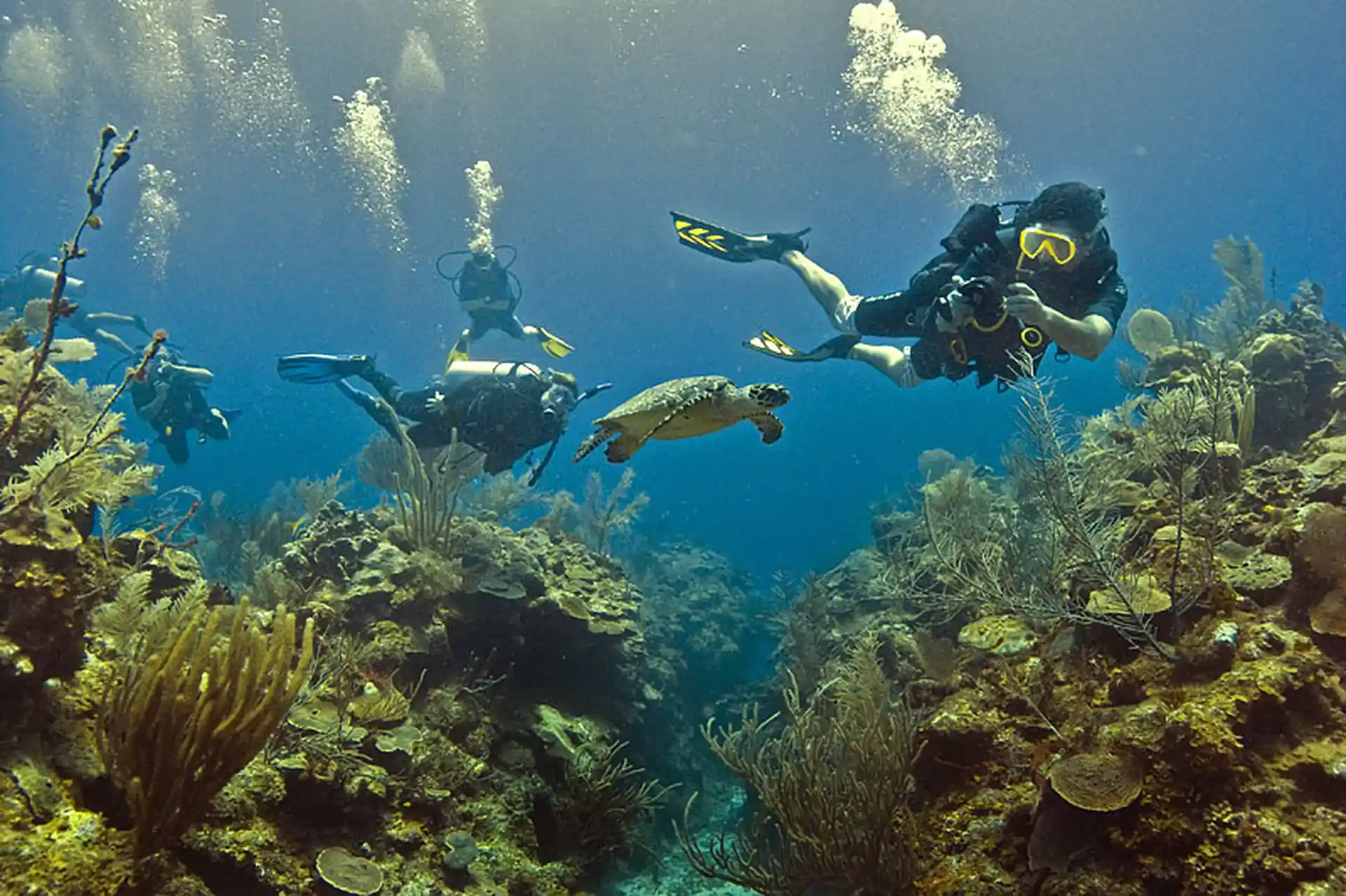 Dive shop photo