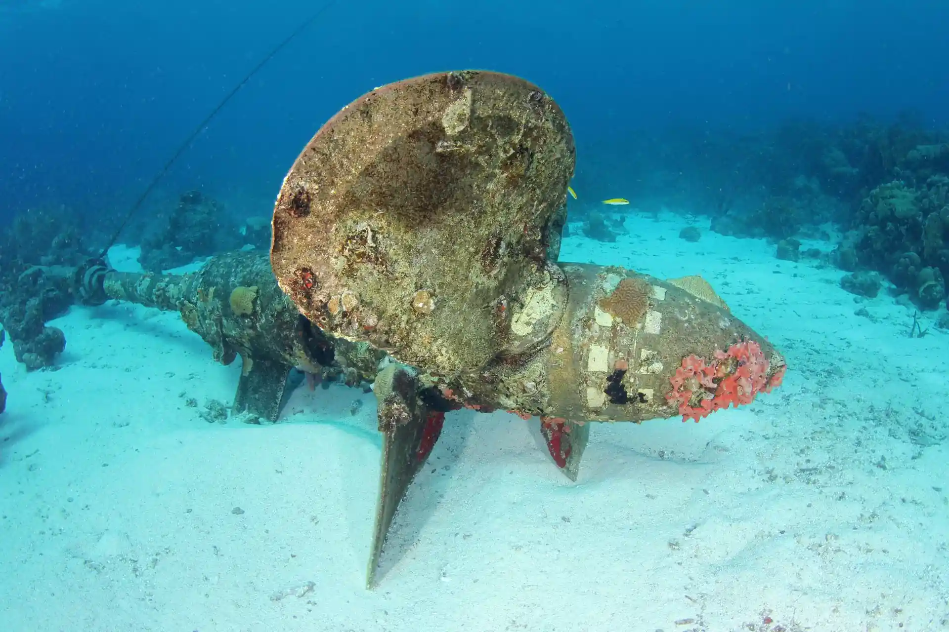 Dive site photo