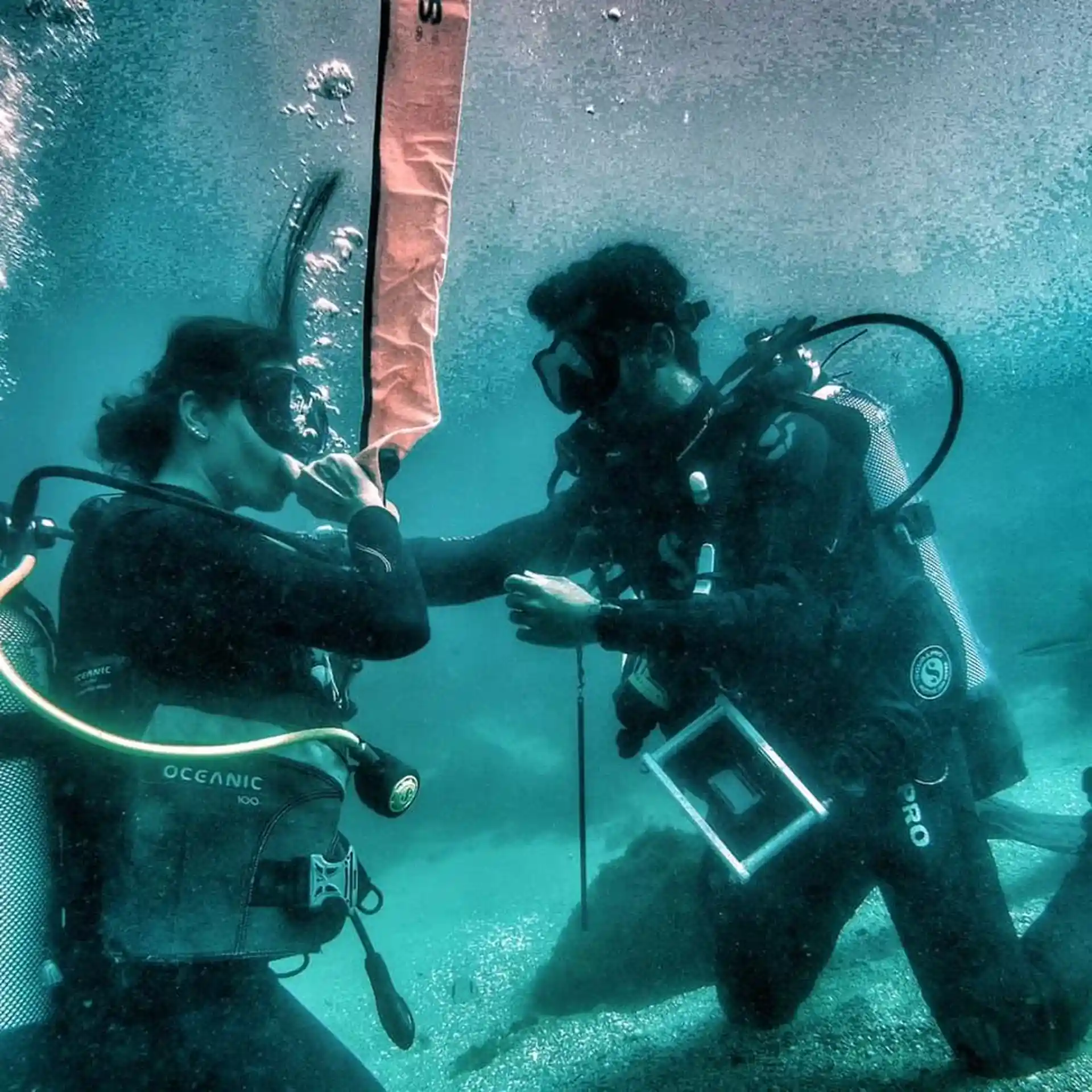 Dive shop photo
