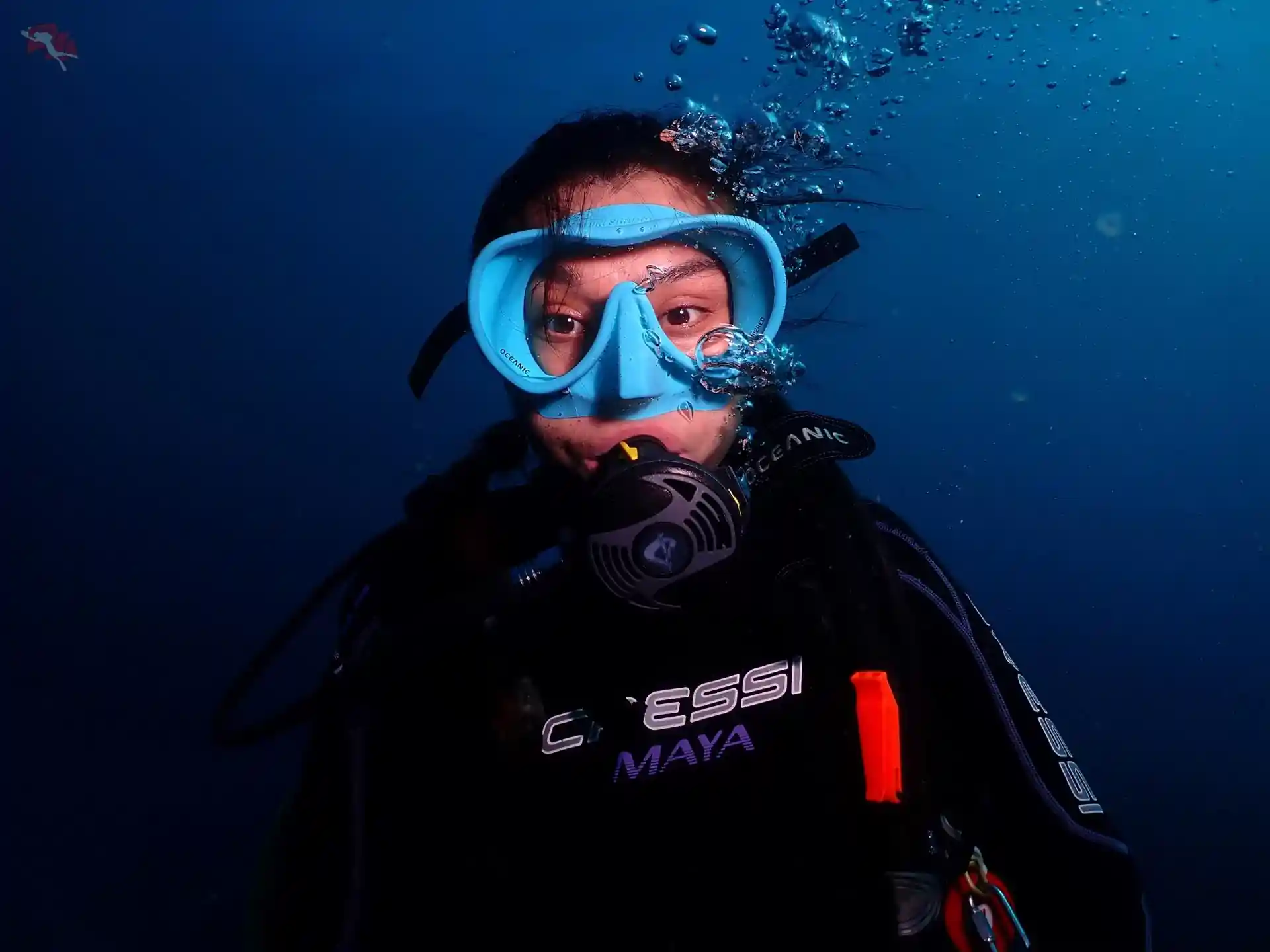 Dive shop photo