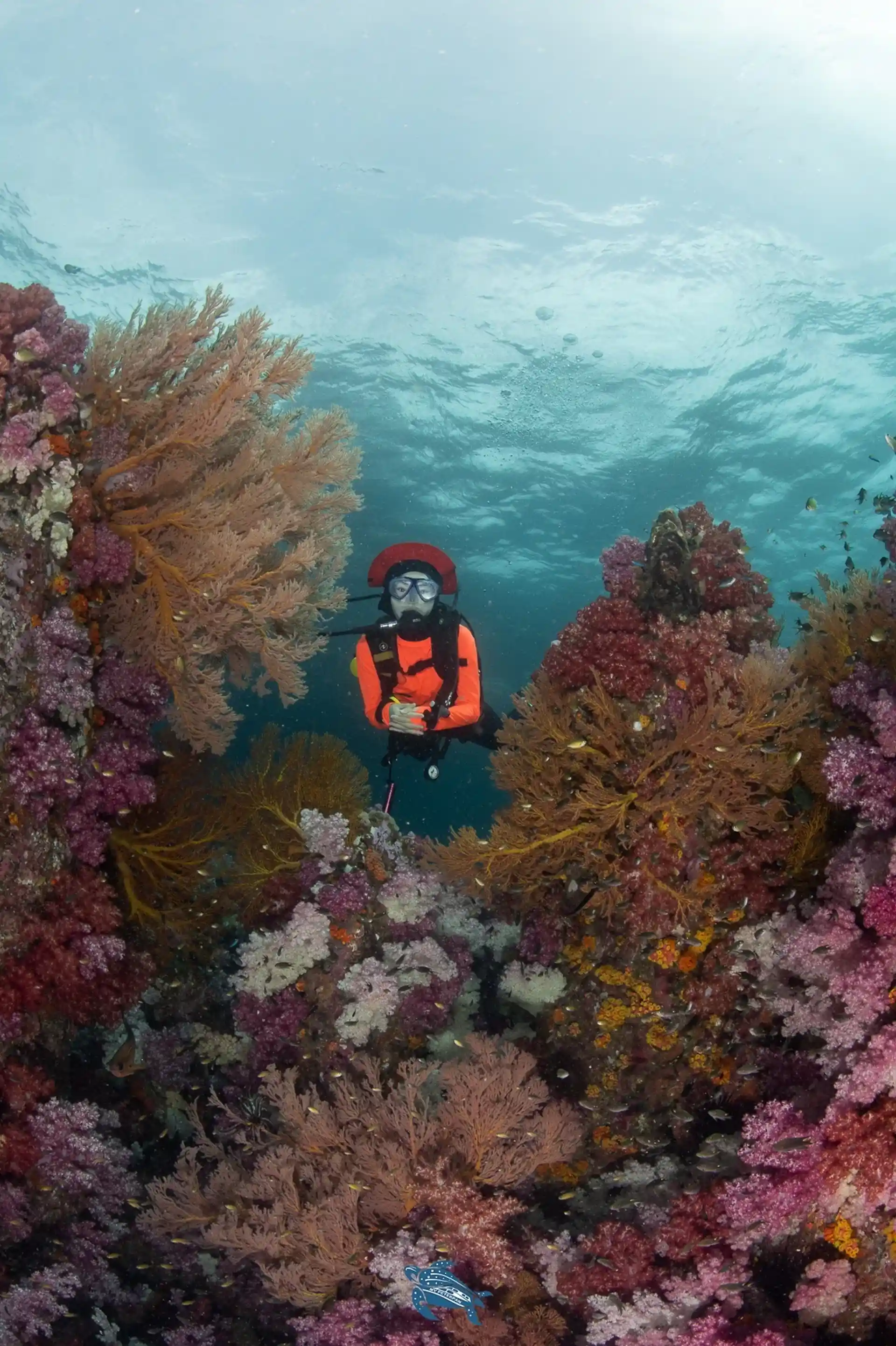 Dive shop photo