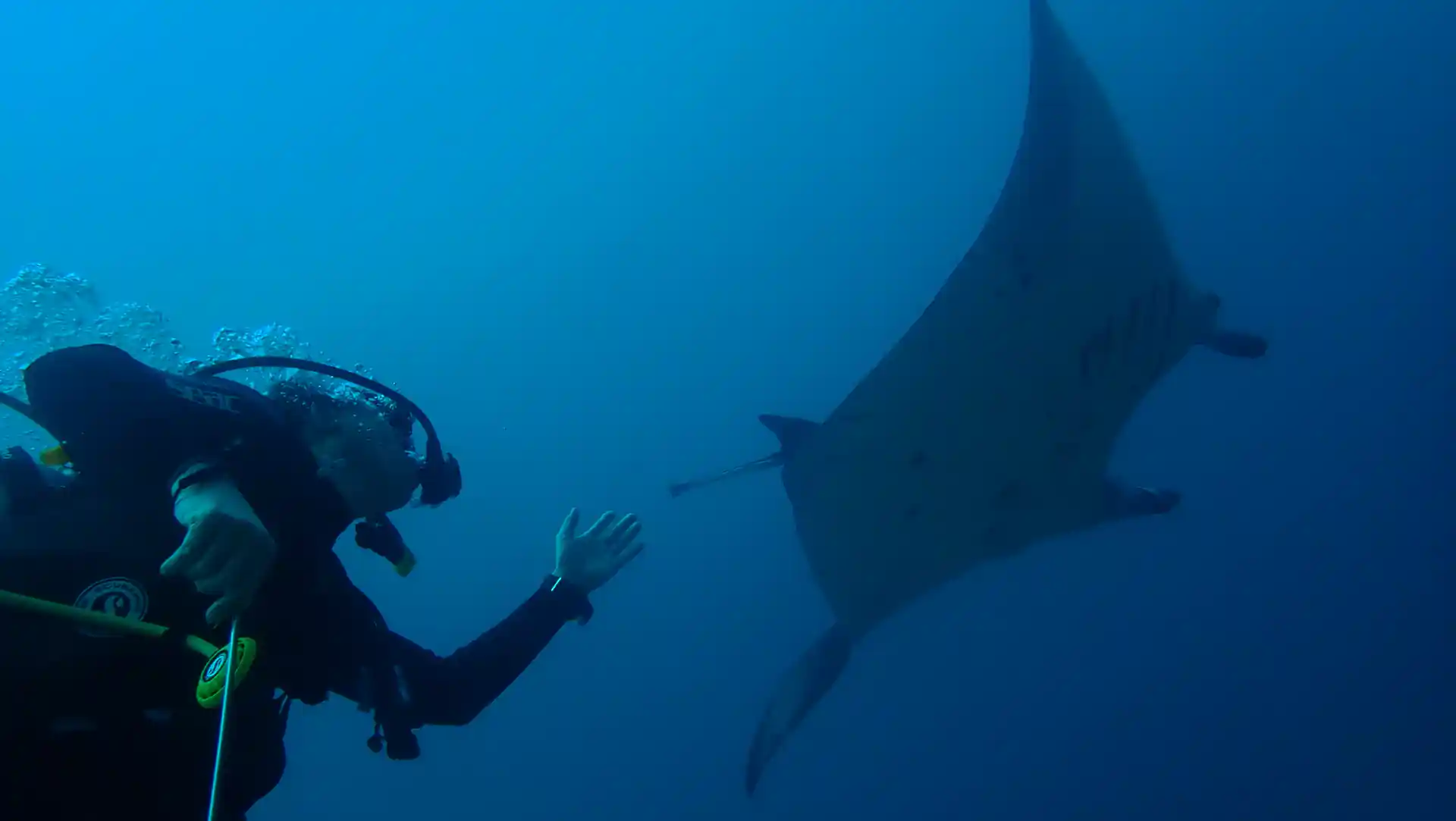 Dive shop photo