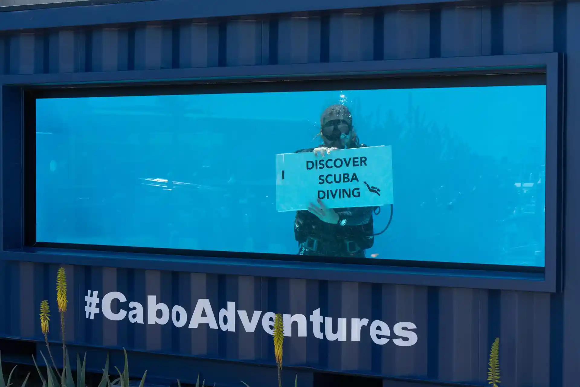 Training tank for Discover scuba diving program, Bubble makers and Pool sessions