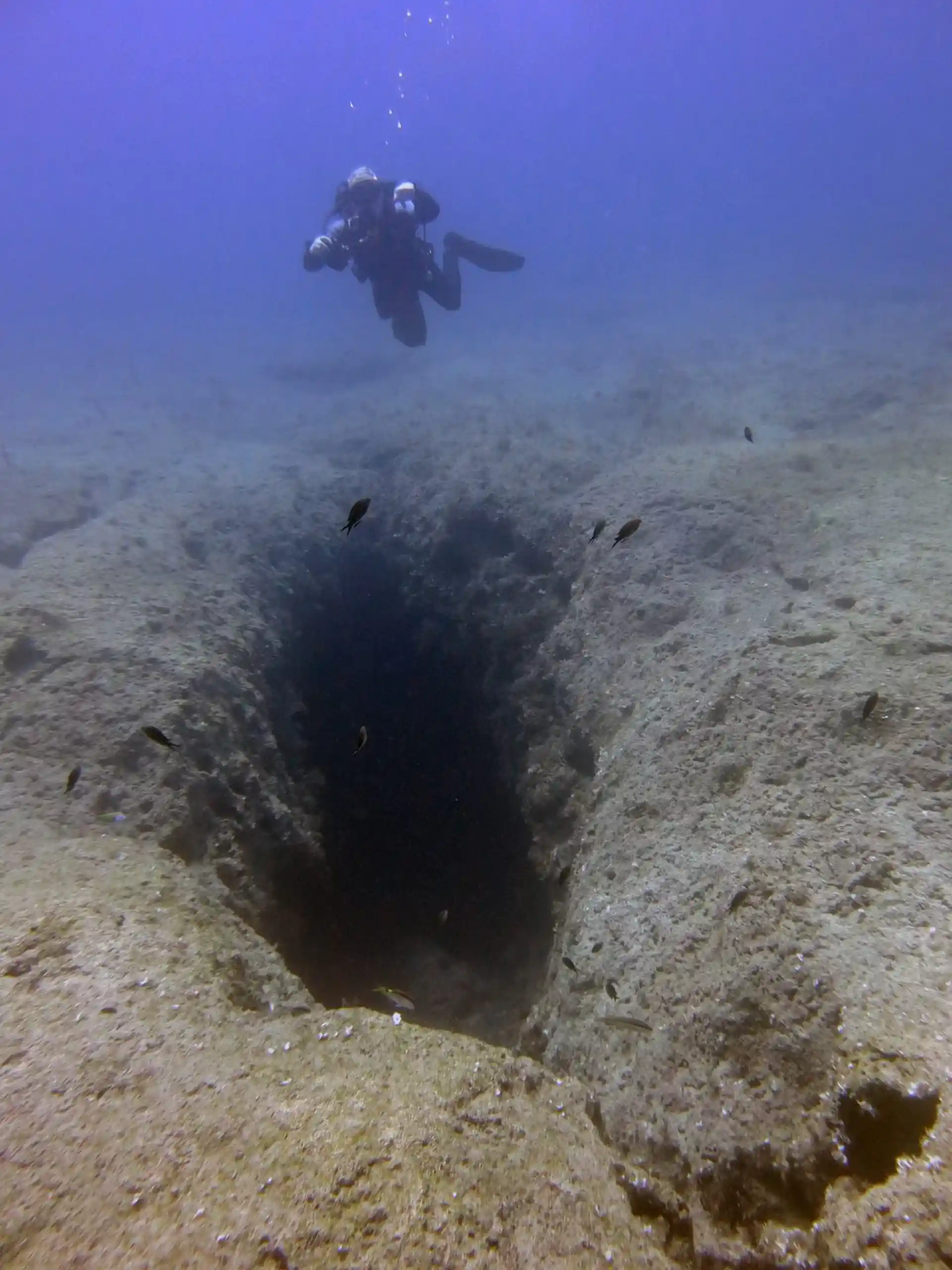 ダイビングサイトの写真