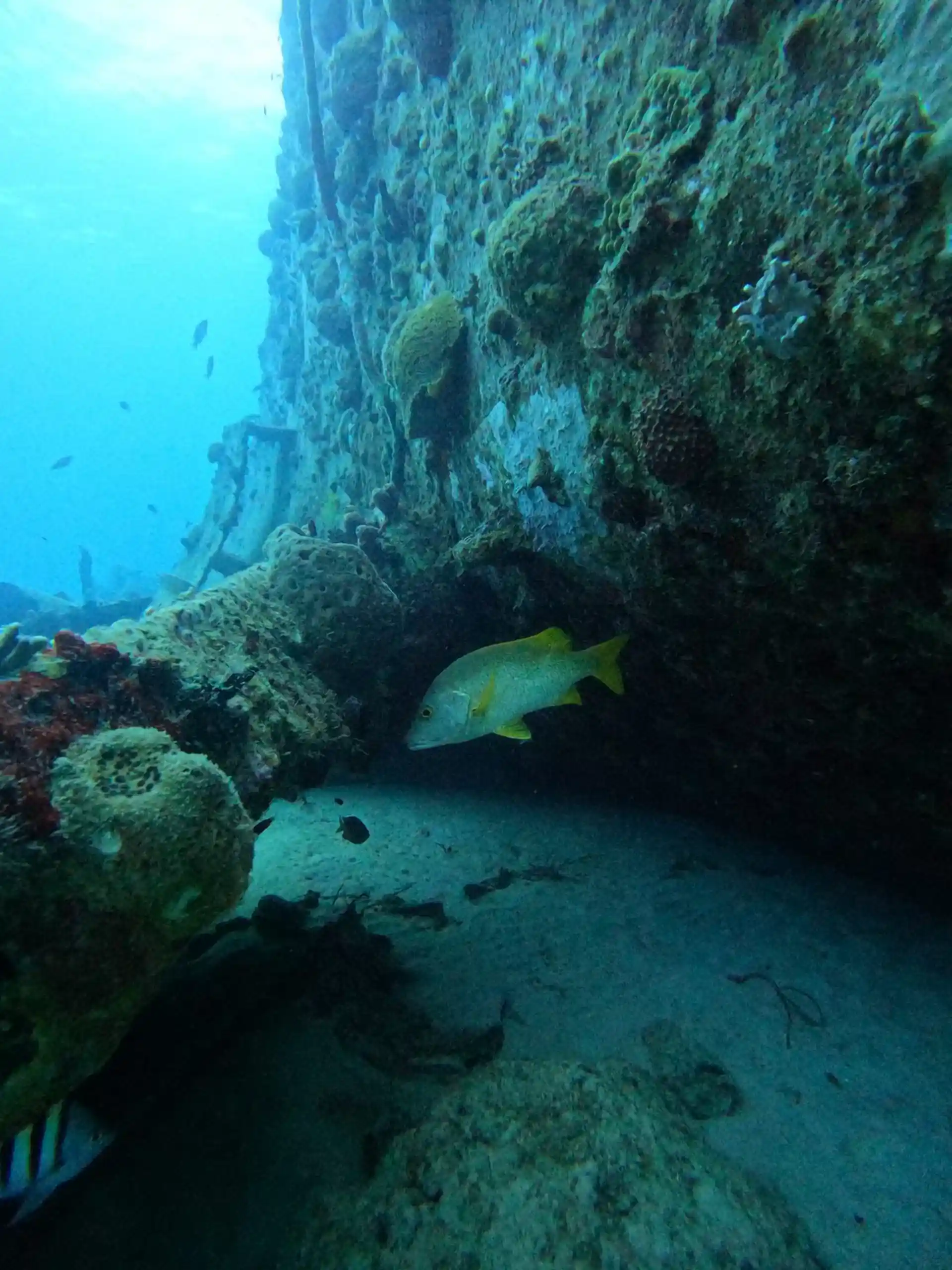 Dive site photo
