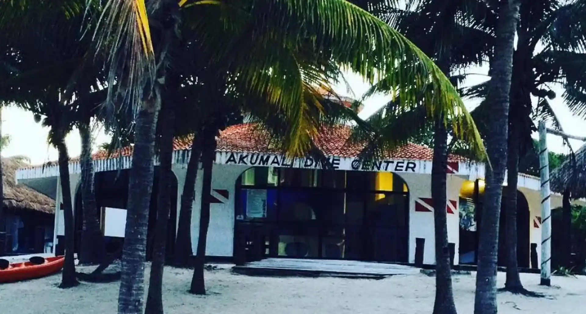 Foto de la tienda de buceo
