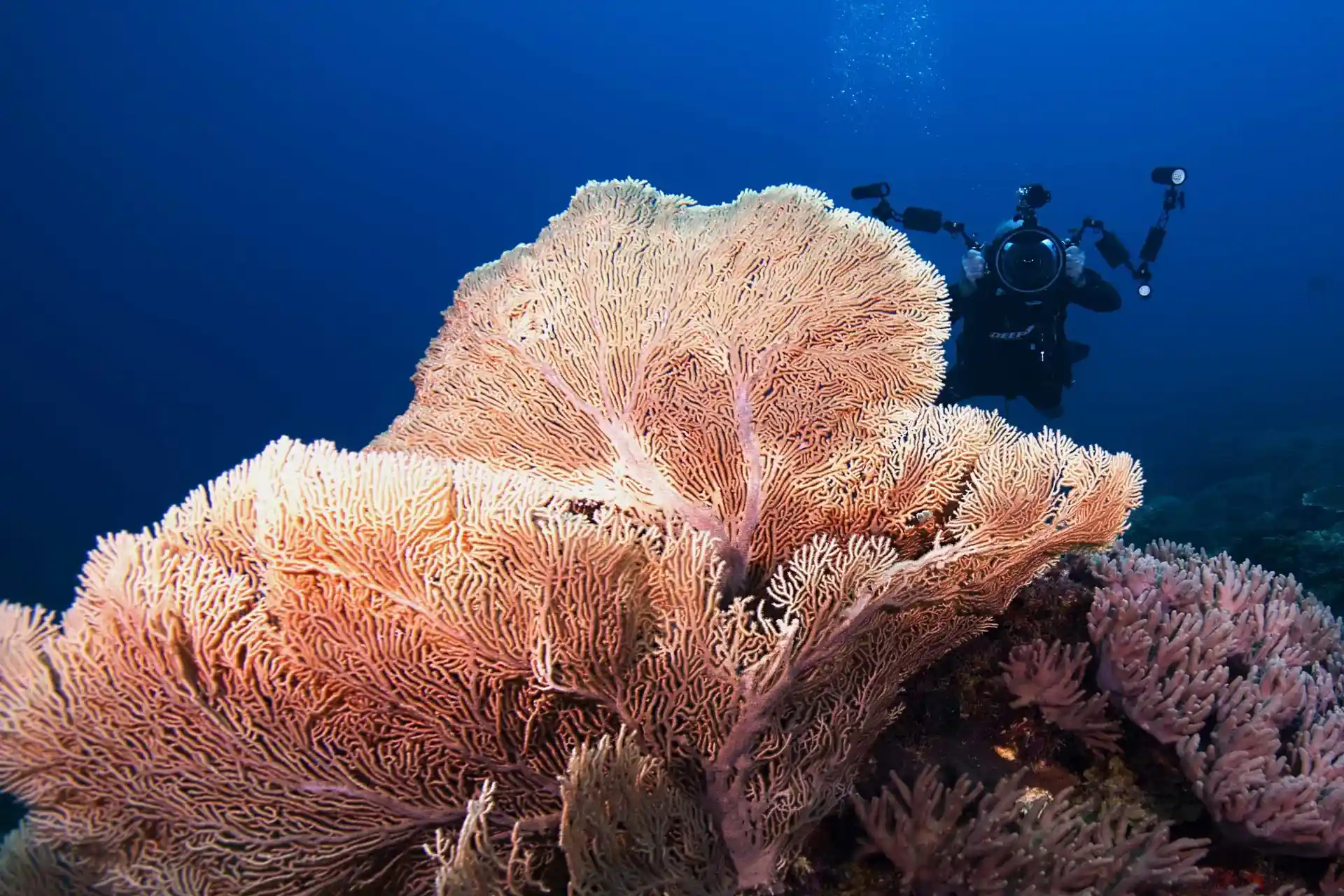 Dive site photo