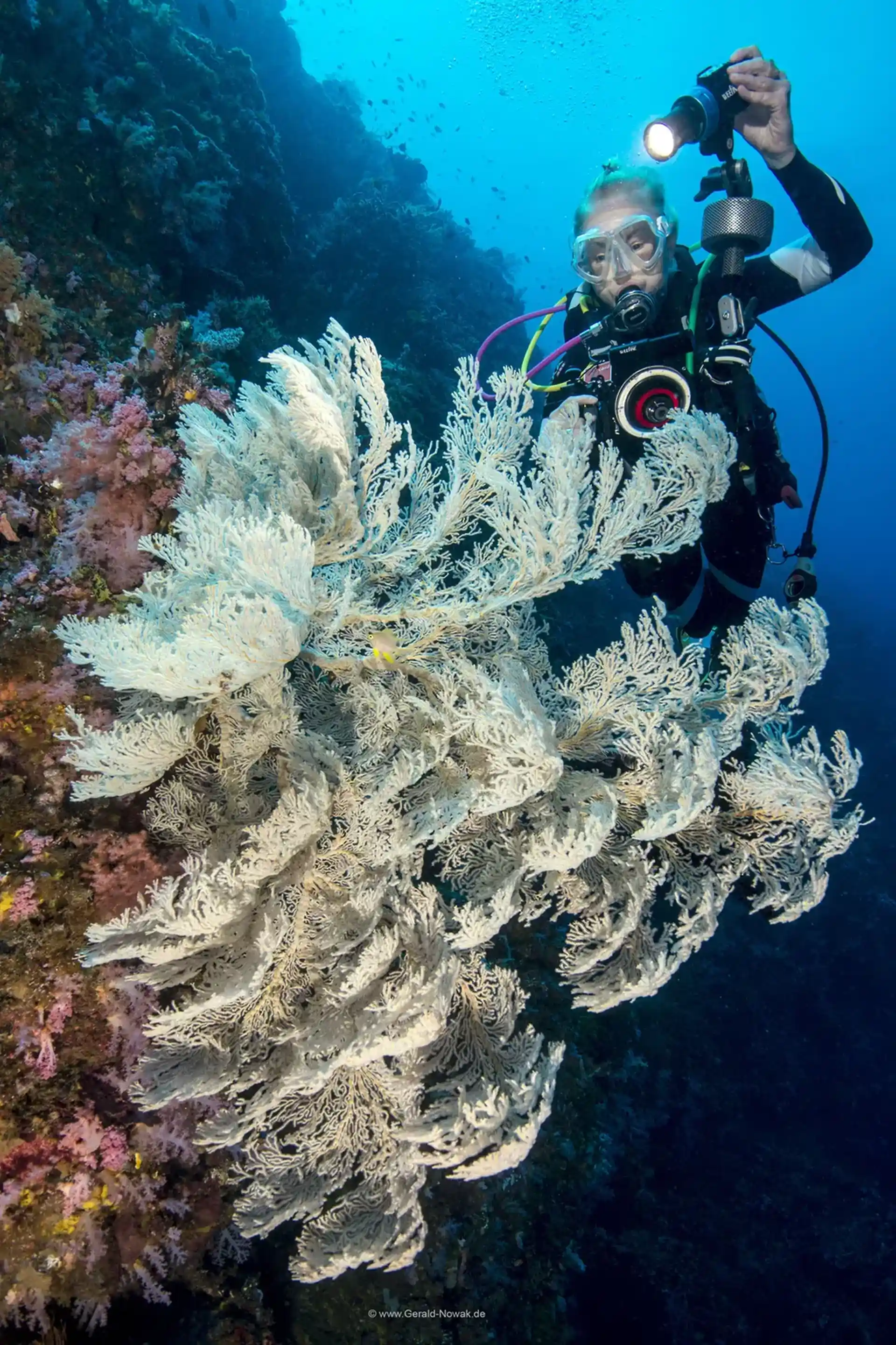 Dive site photo