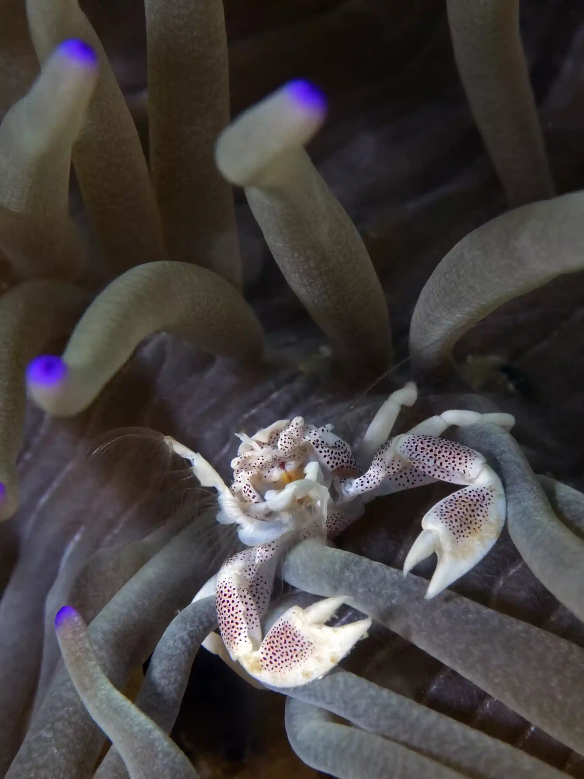 Dive site photo