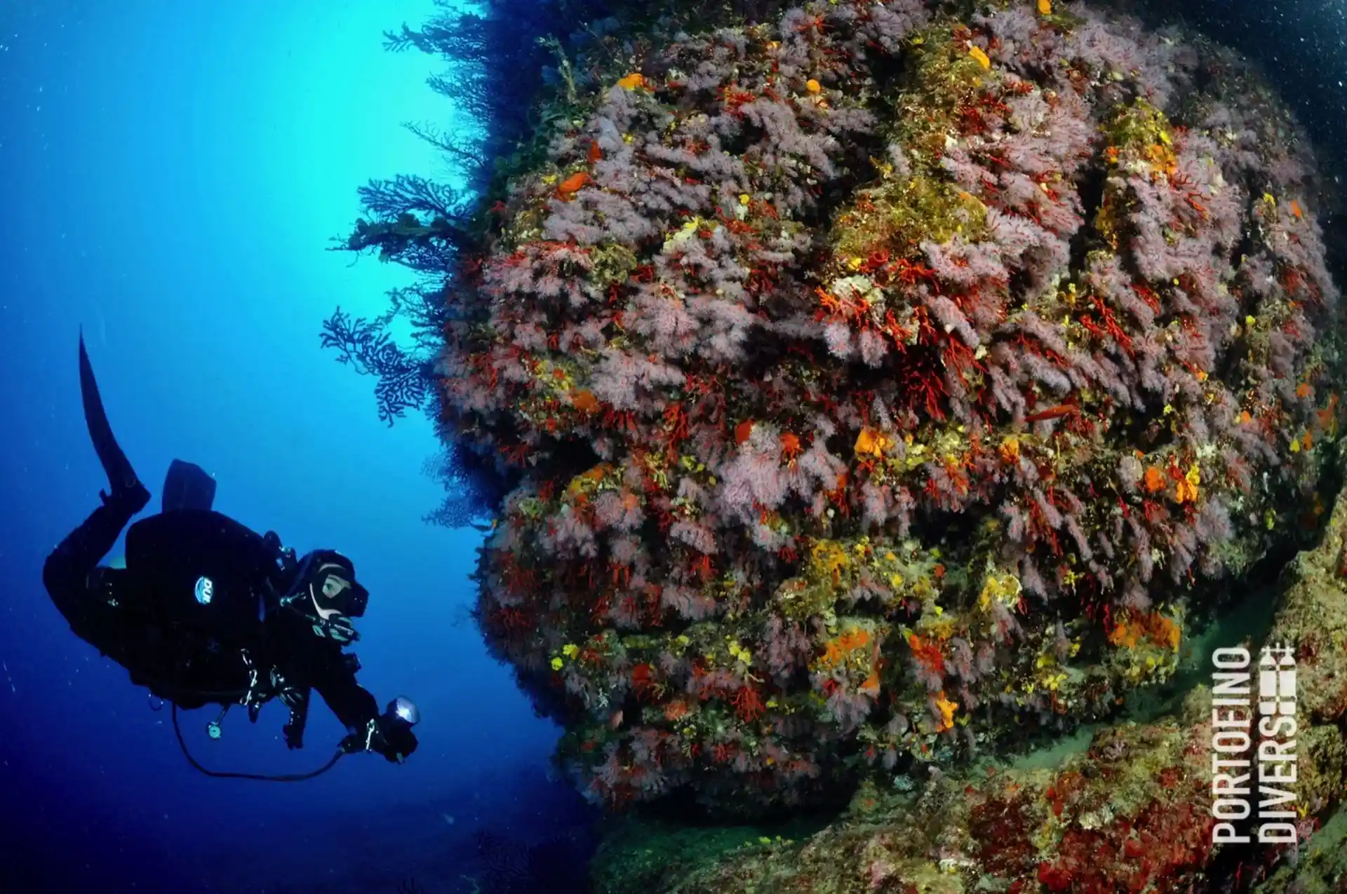 Foto des Tauchplatzes