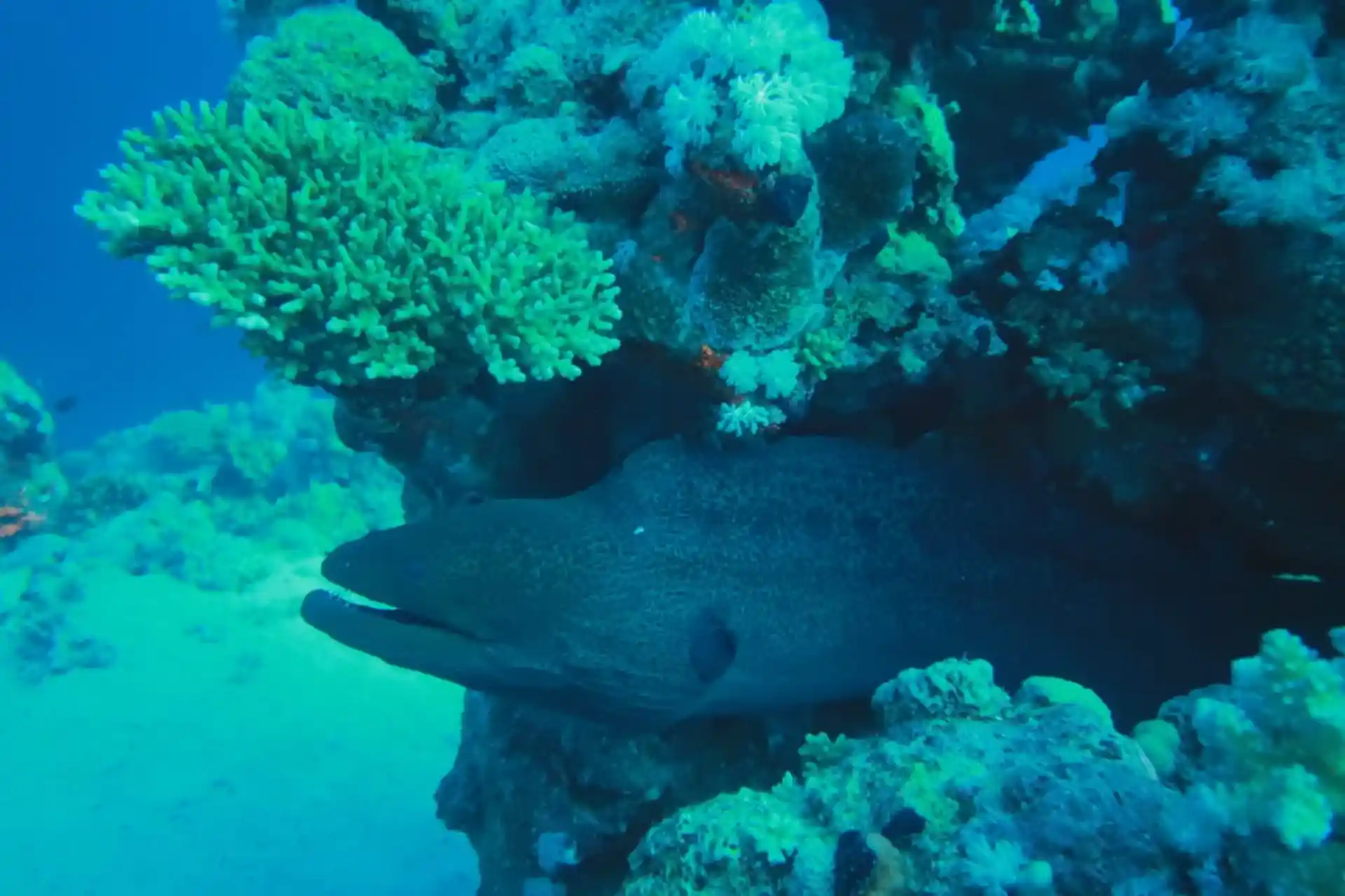 Dive site photo