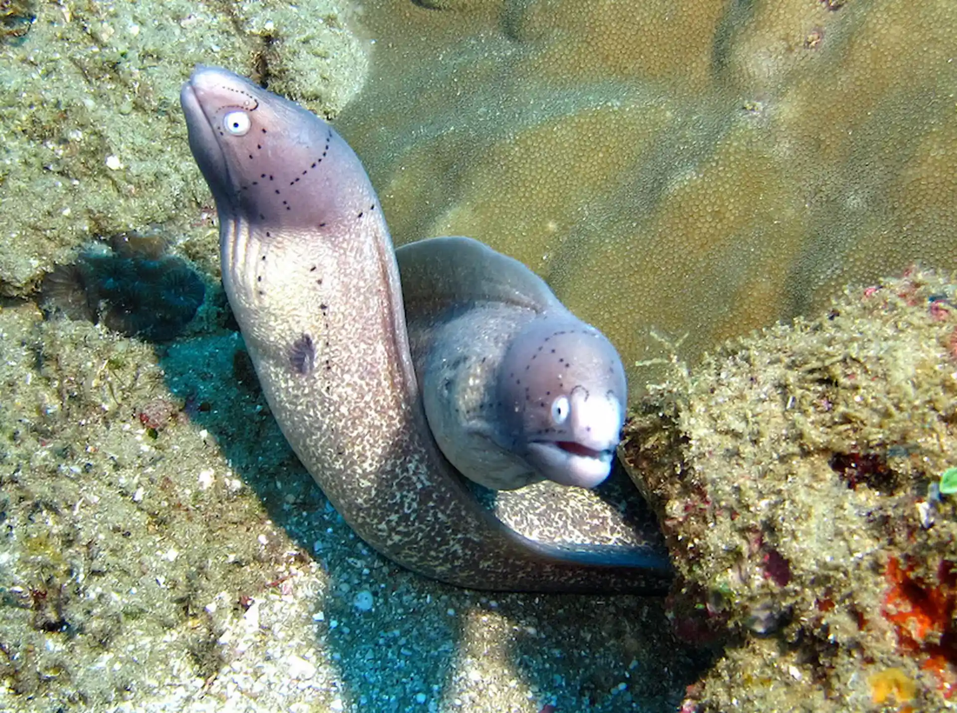Dive site photo