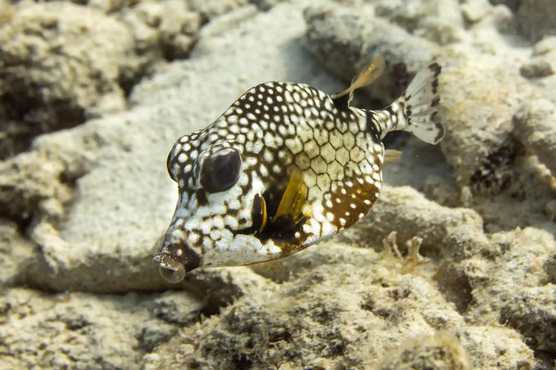 Dive site photo