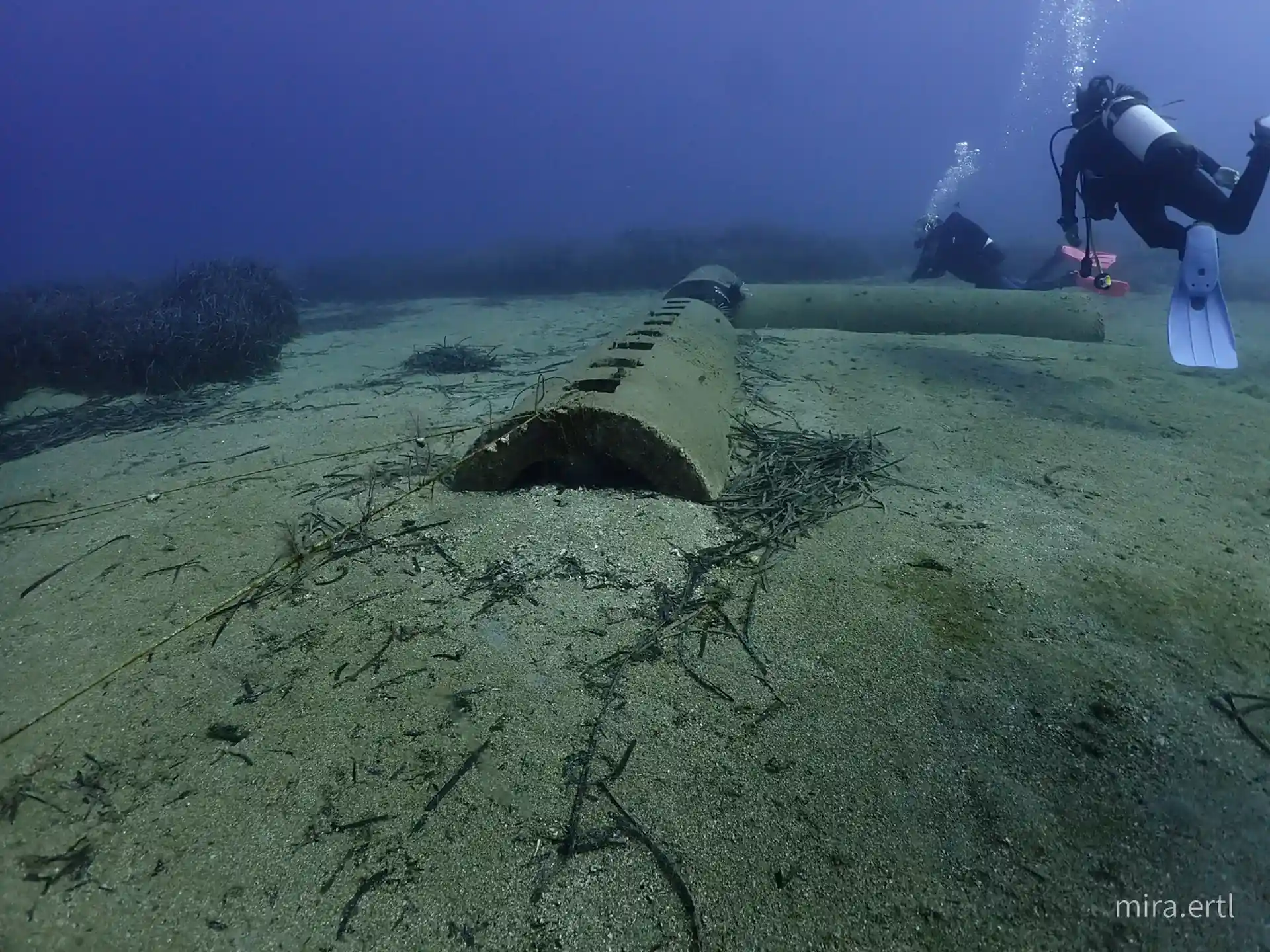 Dive site photo