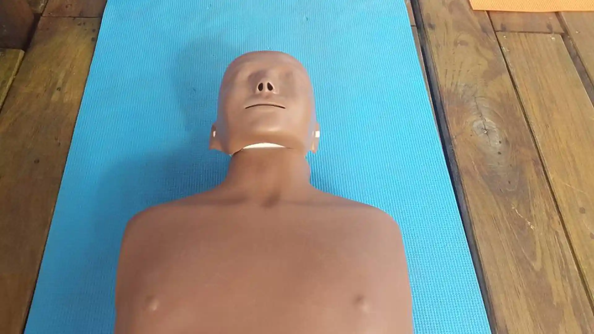 Foto de la actividad