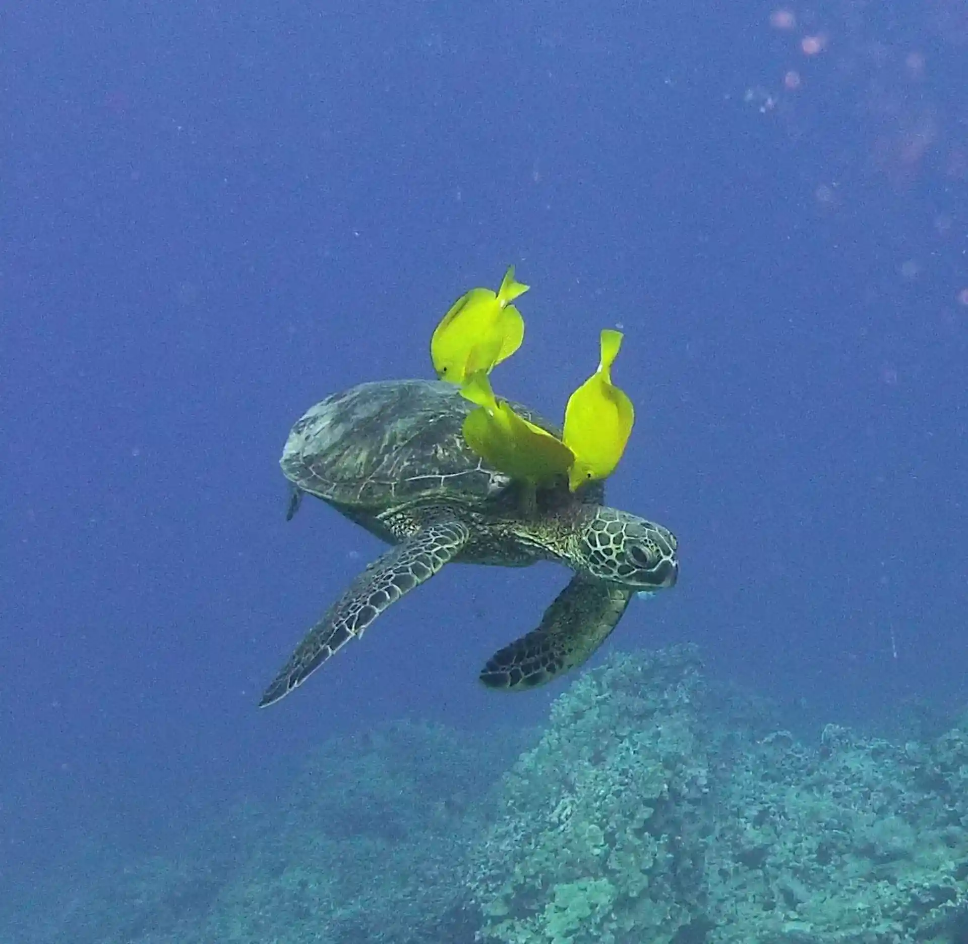 Foto des Tauchplatzes