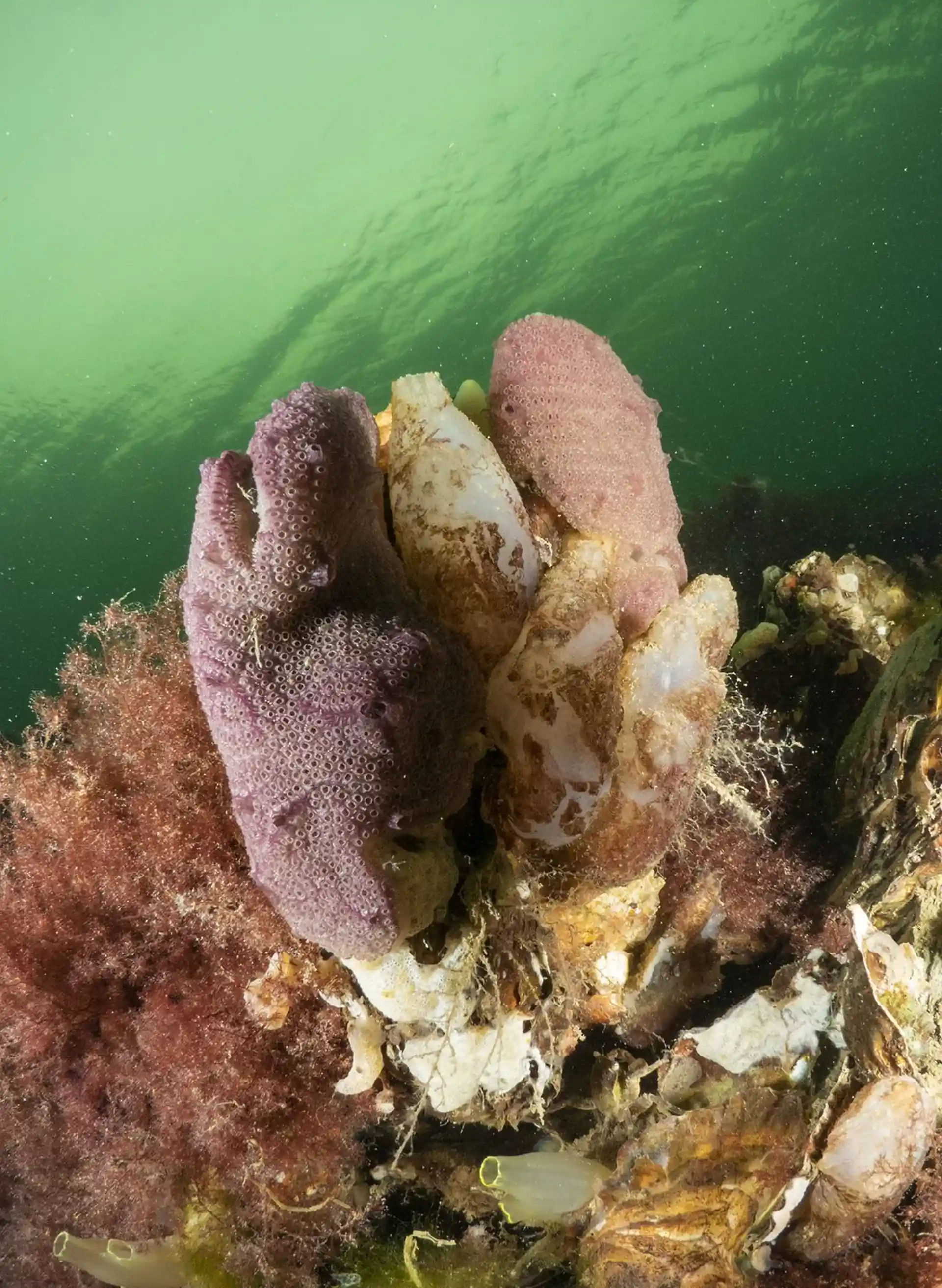 다이빙 포인트 사진