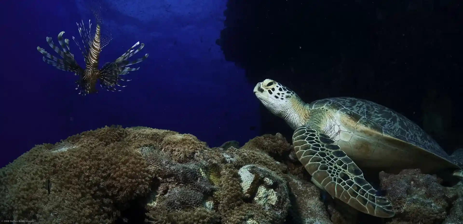 Dive site photo