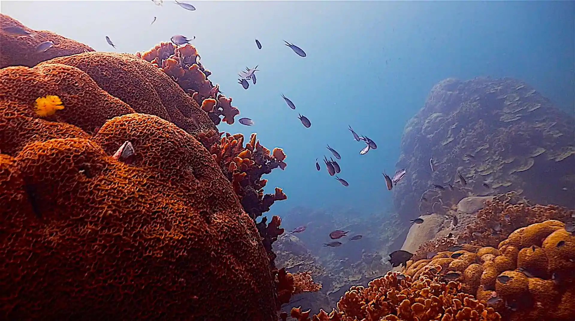 다이빙 포인트 사진