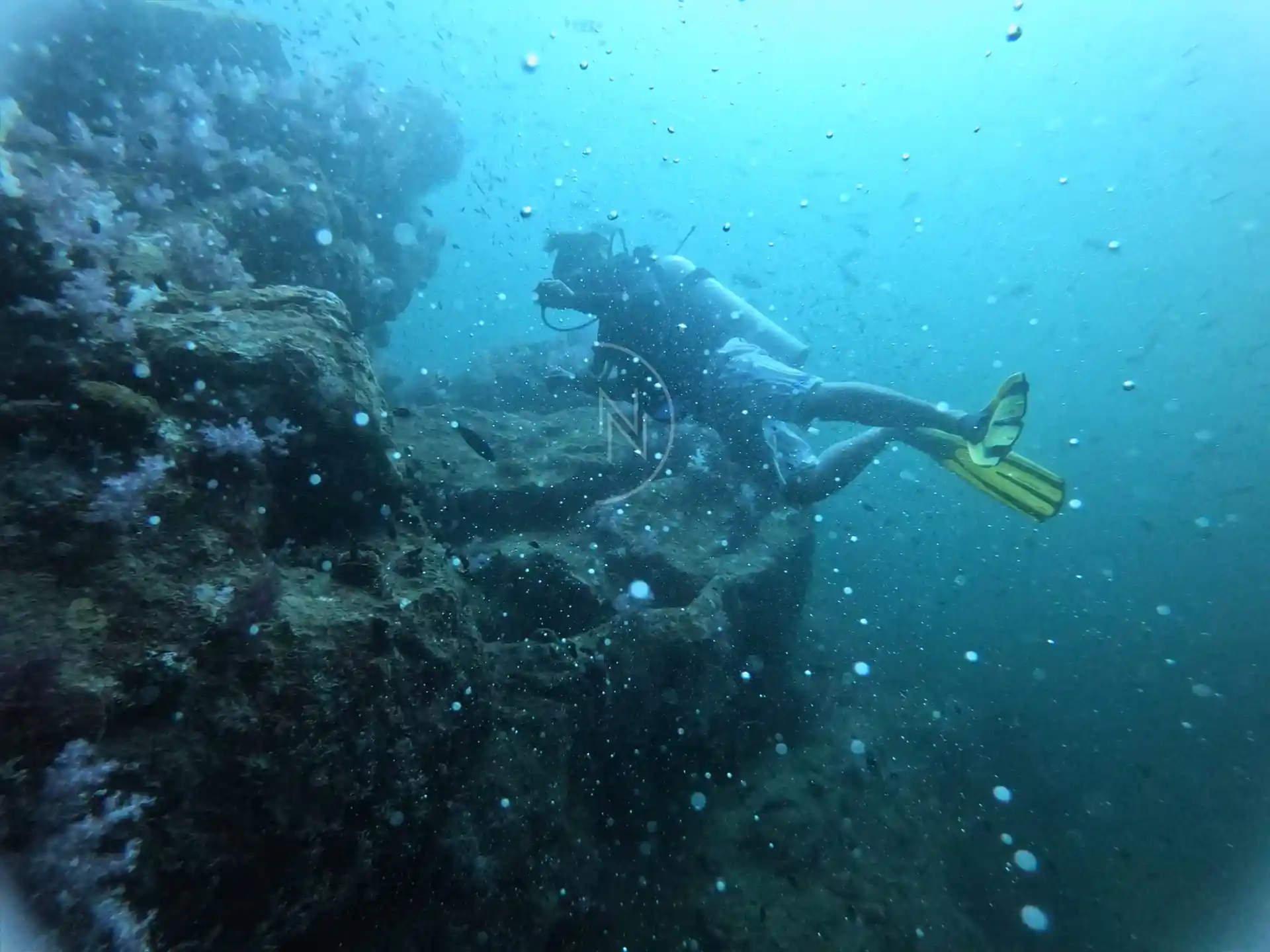 Dive site photo