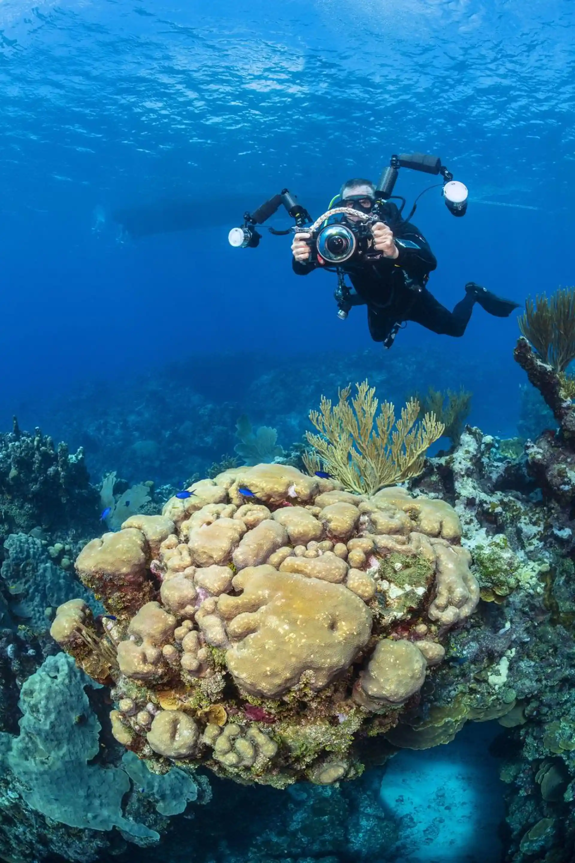 Dive site photo