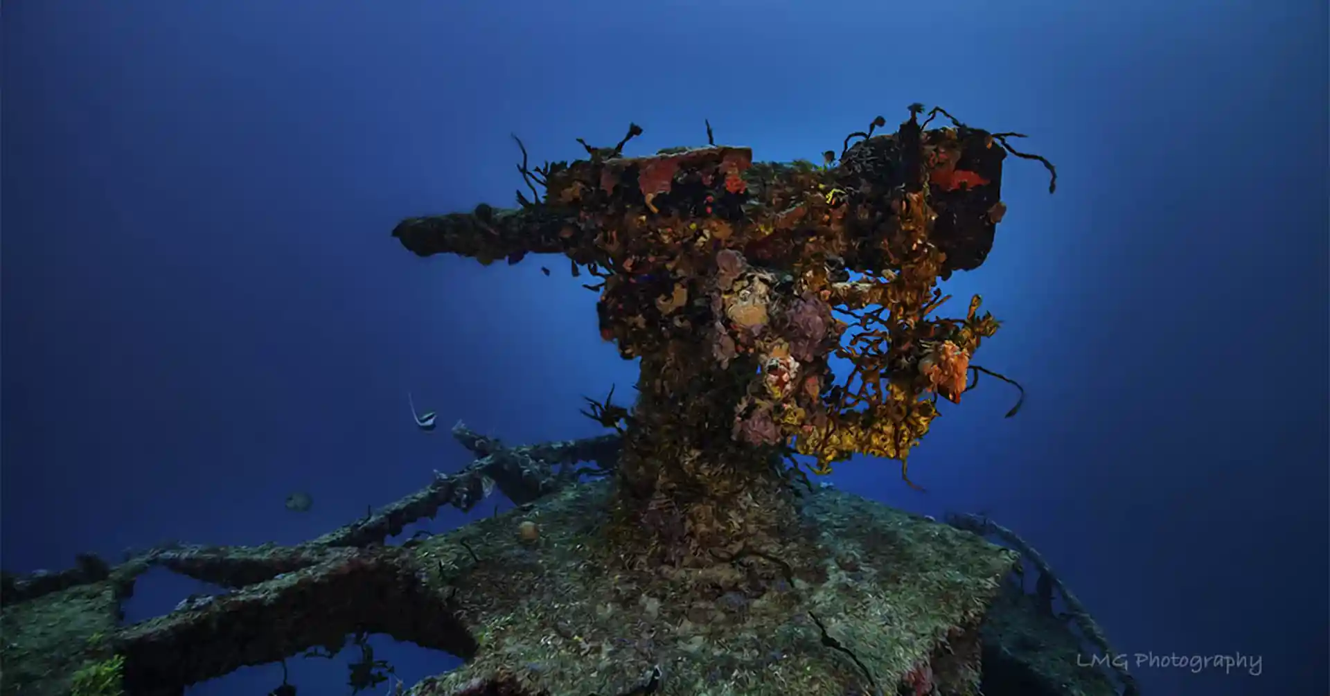 Photo du site de plongée