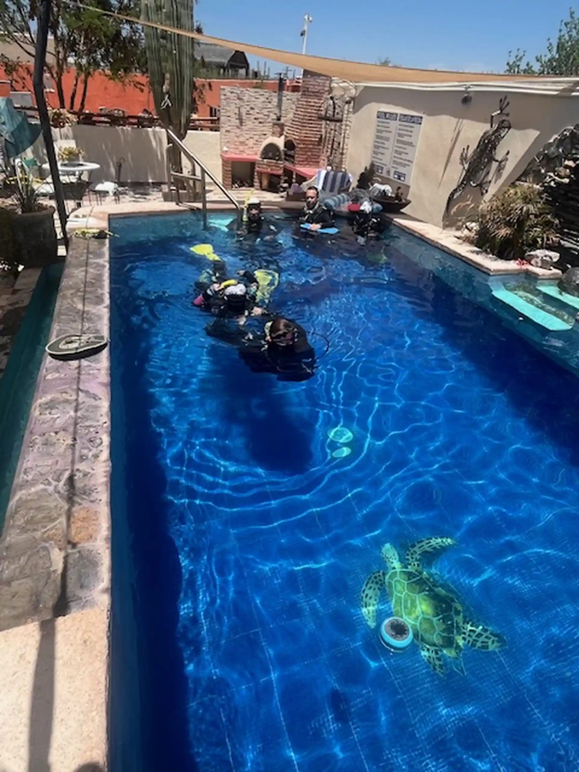 Learning pool skills