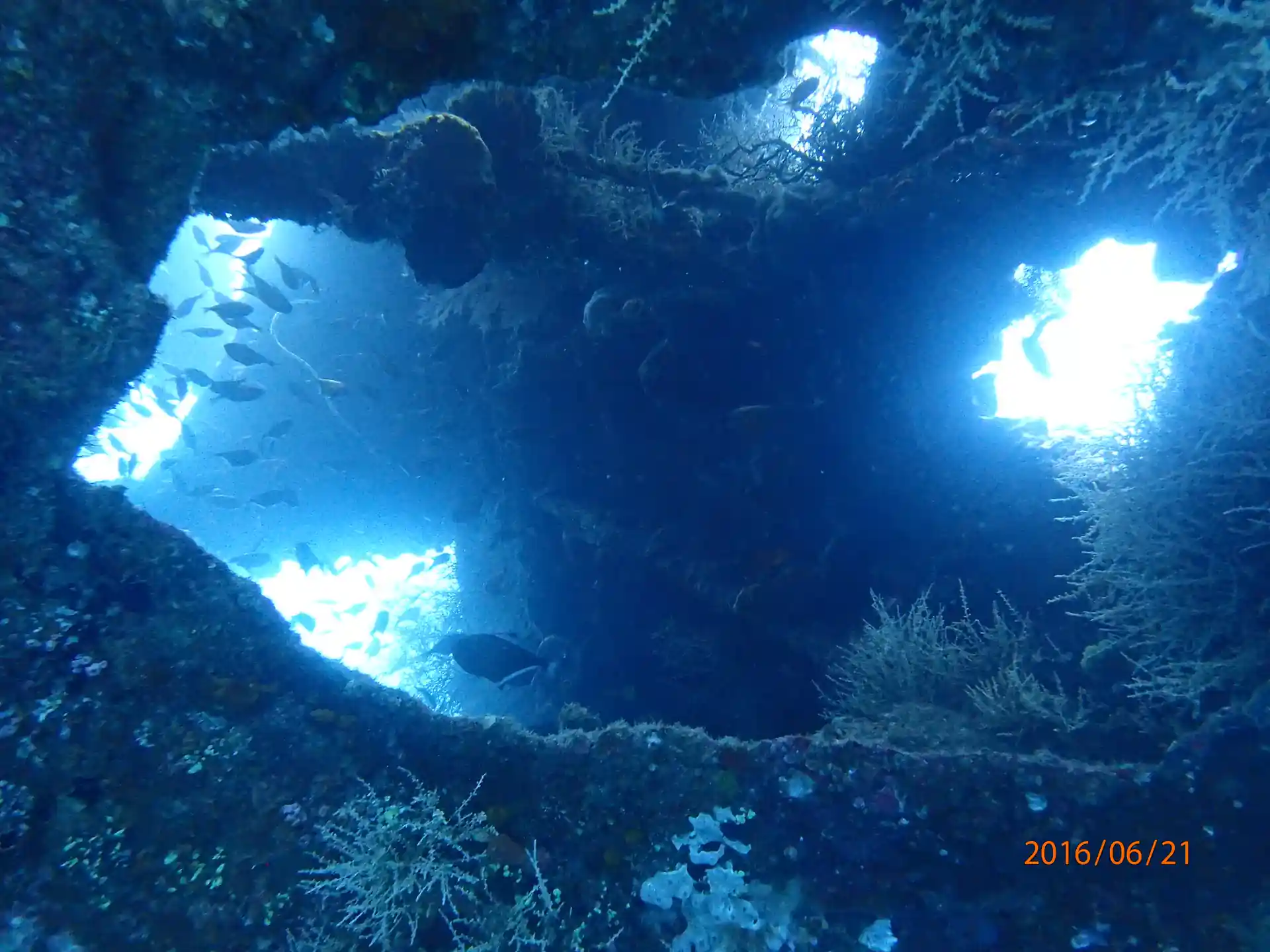 Dive shop photo
