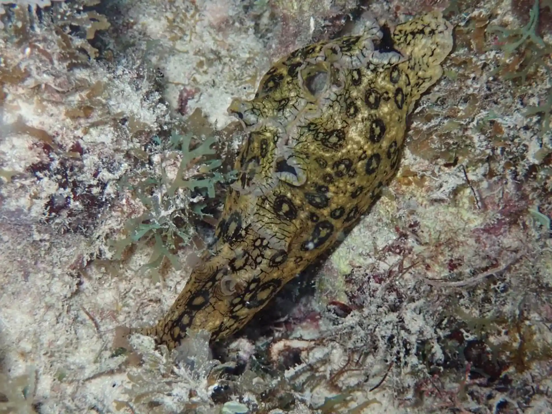 Dive site photo