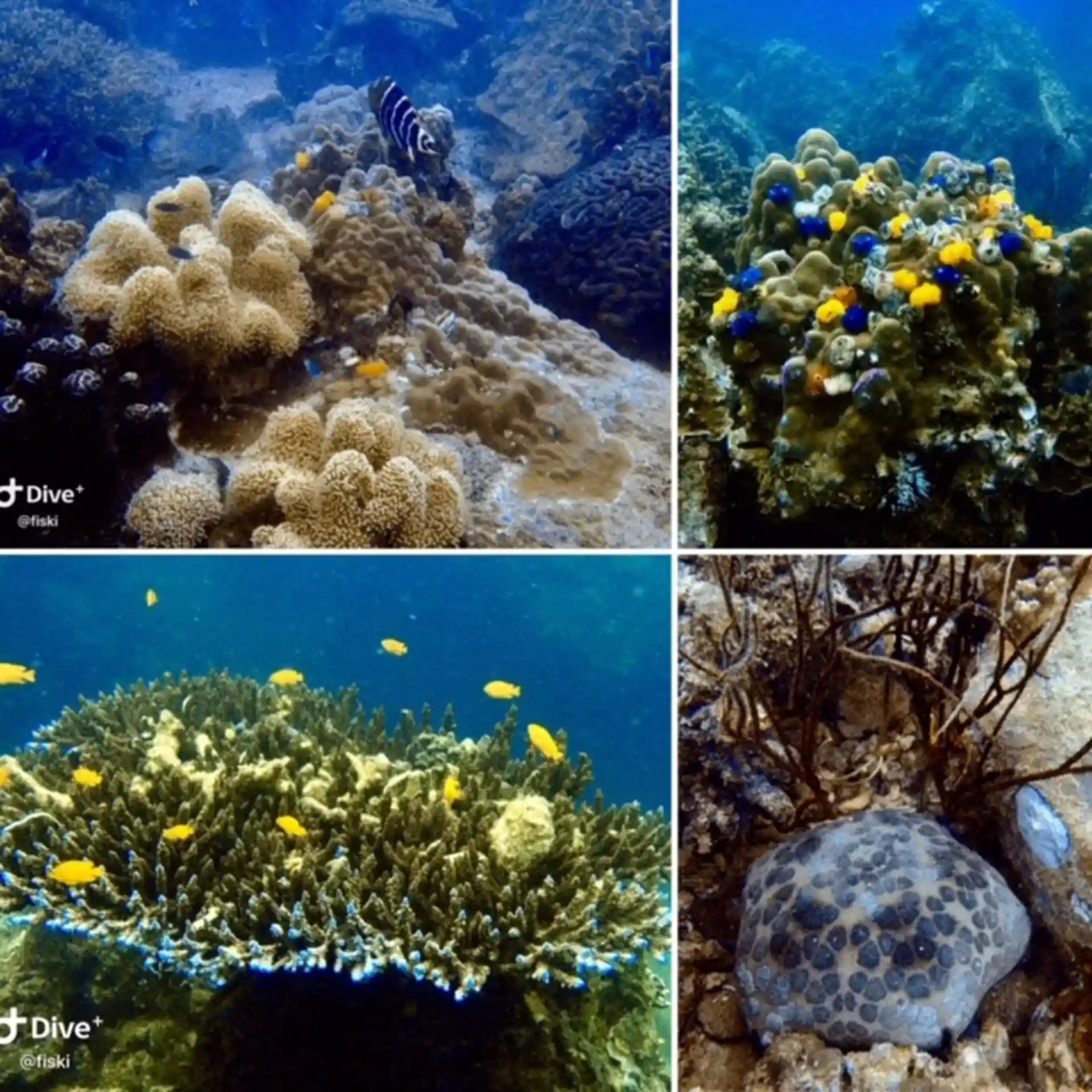 Photo de l'activité