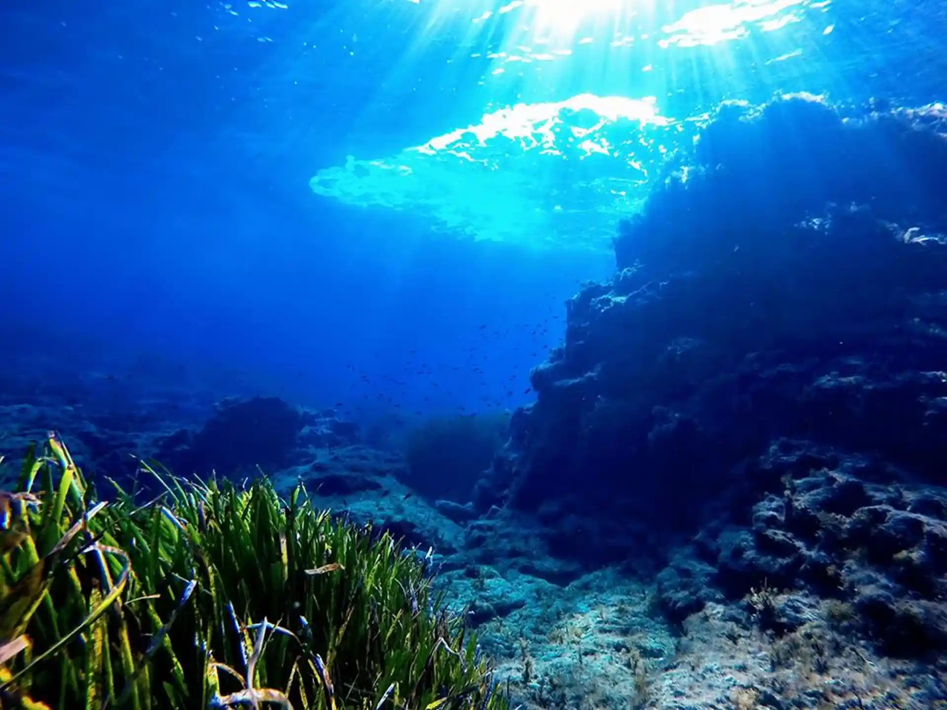 Photo du site de plongée