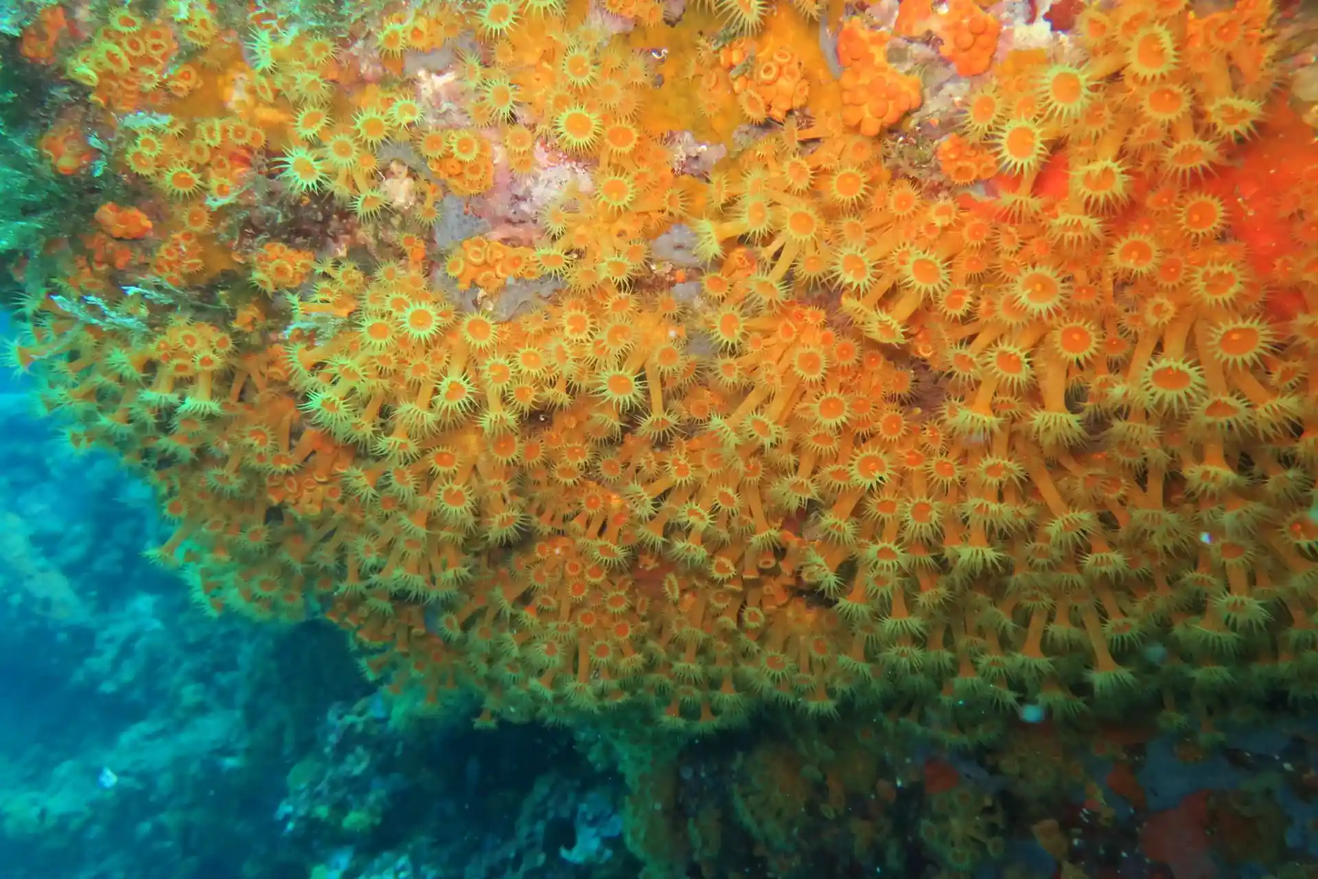 다이빙 포인트 사진