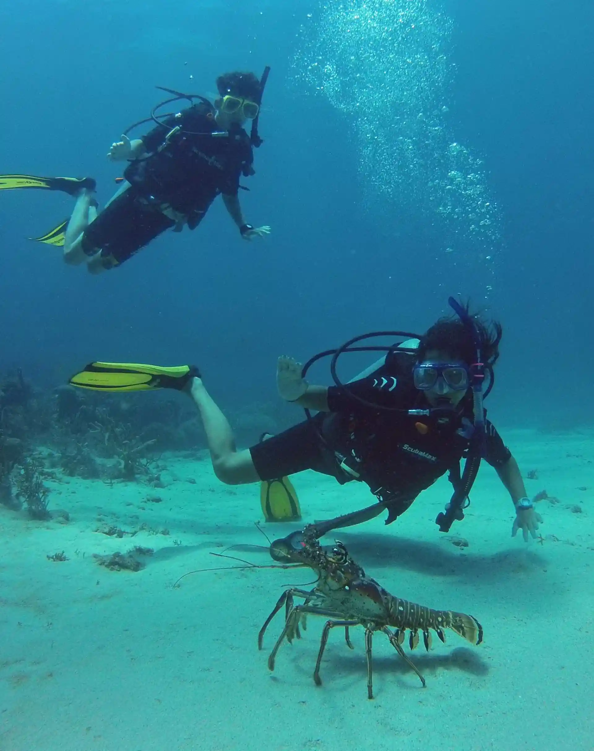 Dive site photo