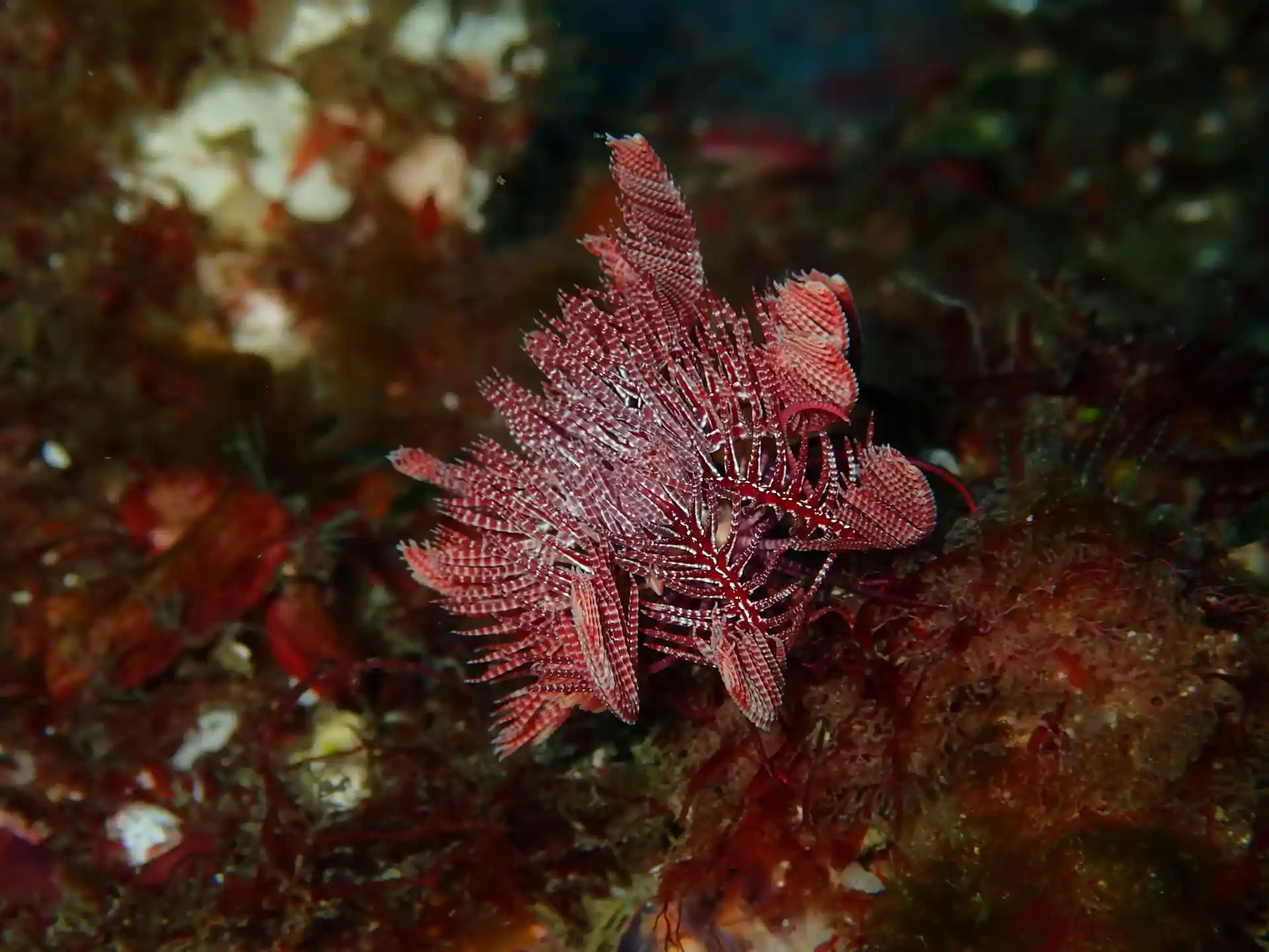 다이빙 포인트 사진