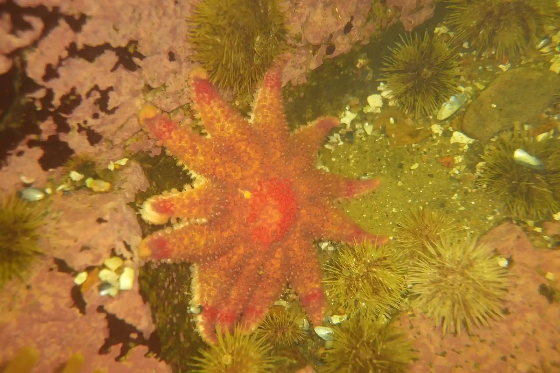 Dive site photo