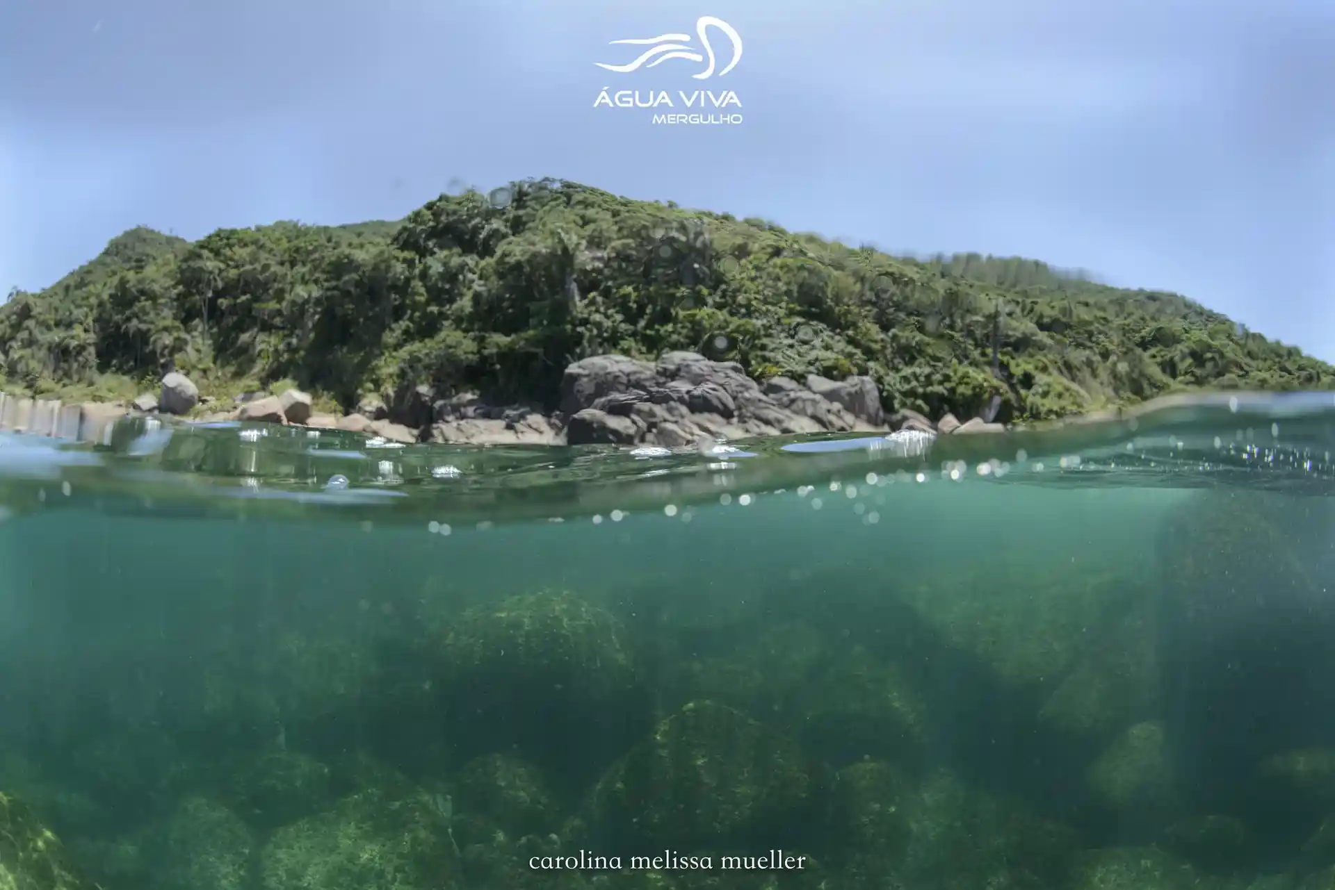 Dive site photo