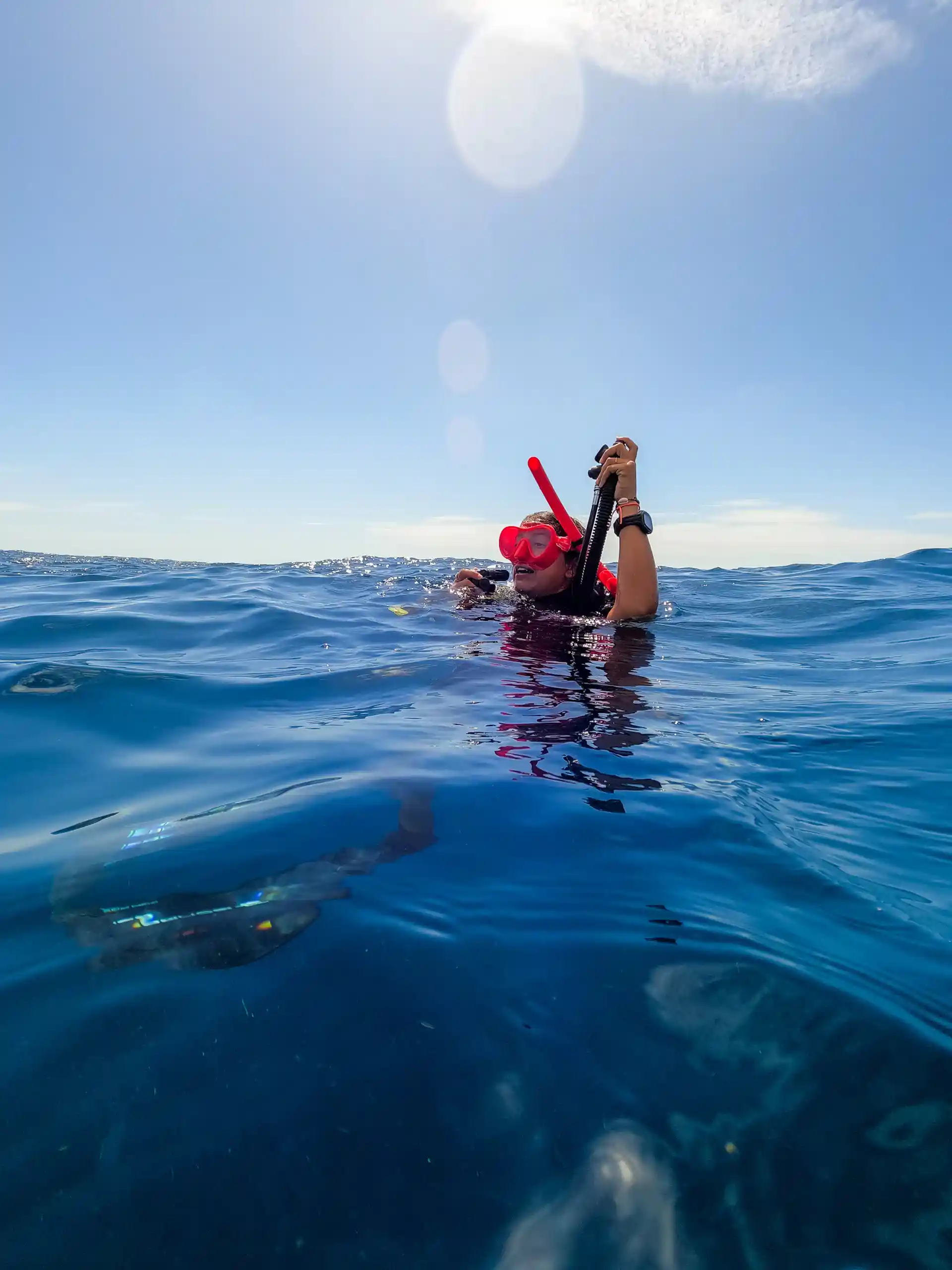 Your first dive, 40 feet deep—an unforgettable adventure! Experience the magic of scuba diving as you explore vibrant reefs, marine life, and discover a whole new world beneath the waves. 🌊🐠