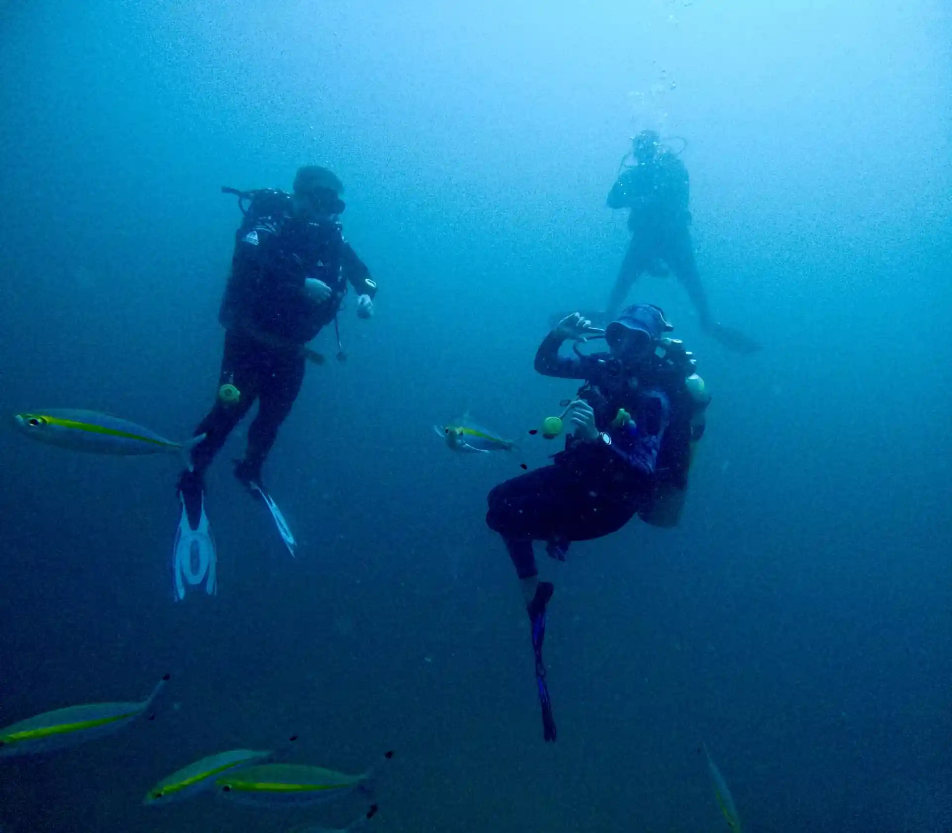 Beautiful blue waters to explore with one of our Staff Instructors Kiara.