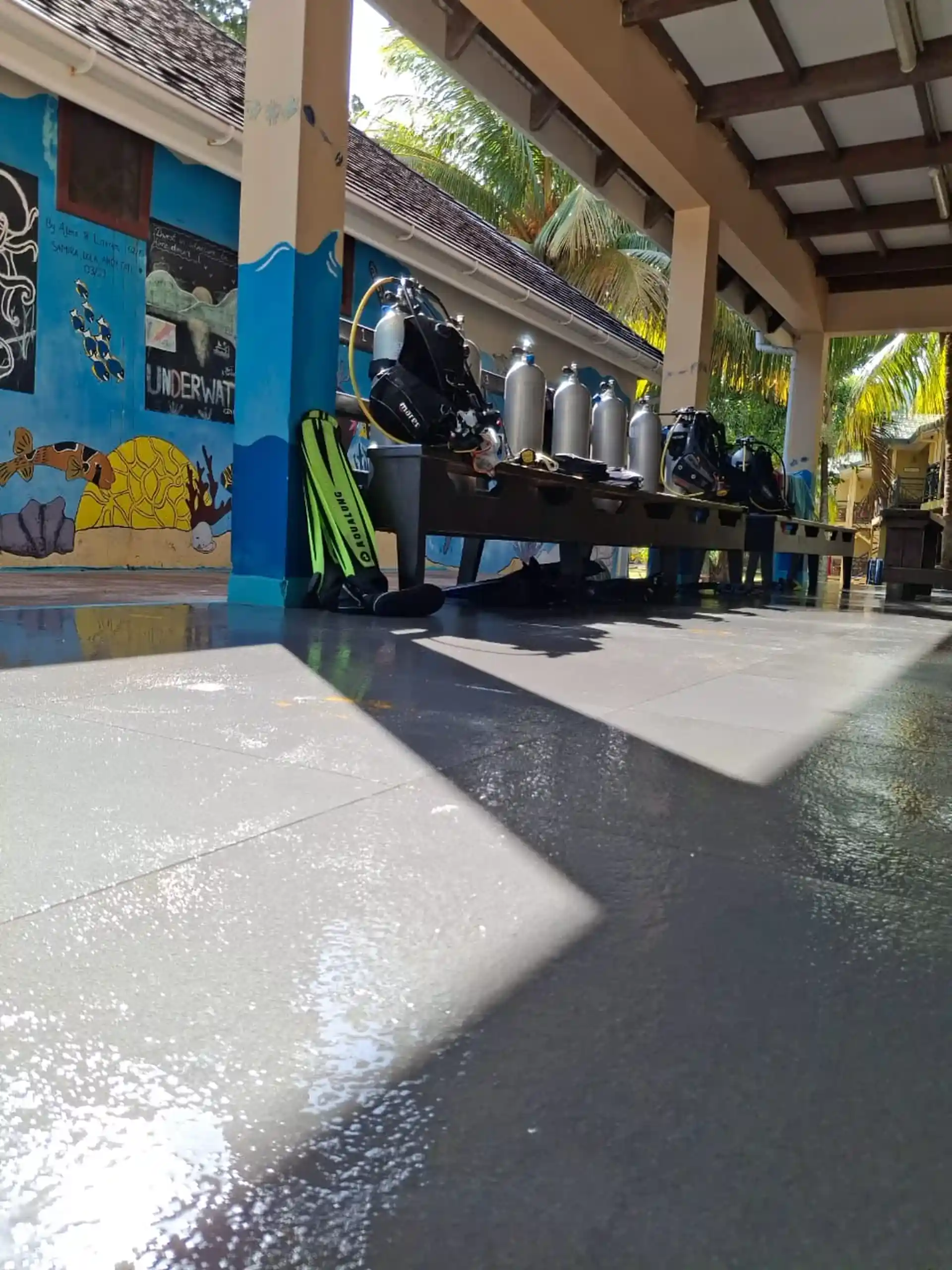 Dive shop photo