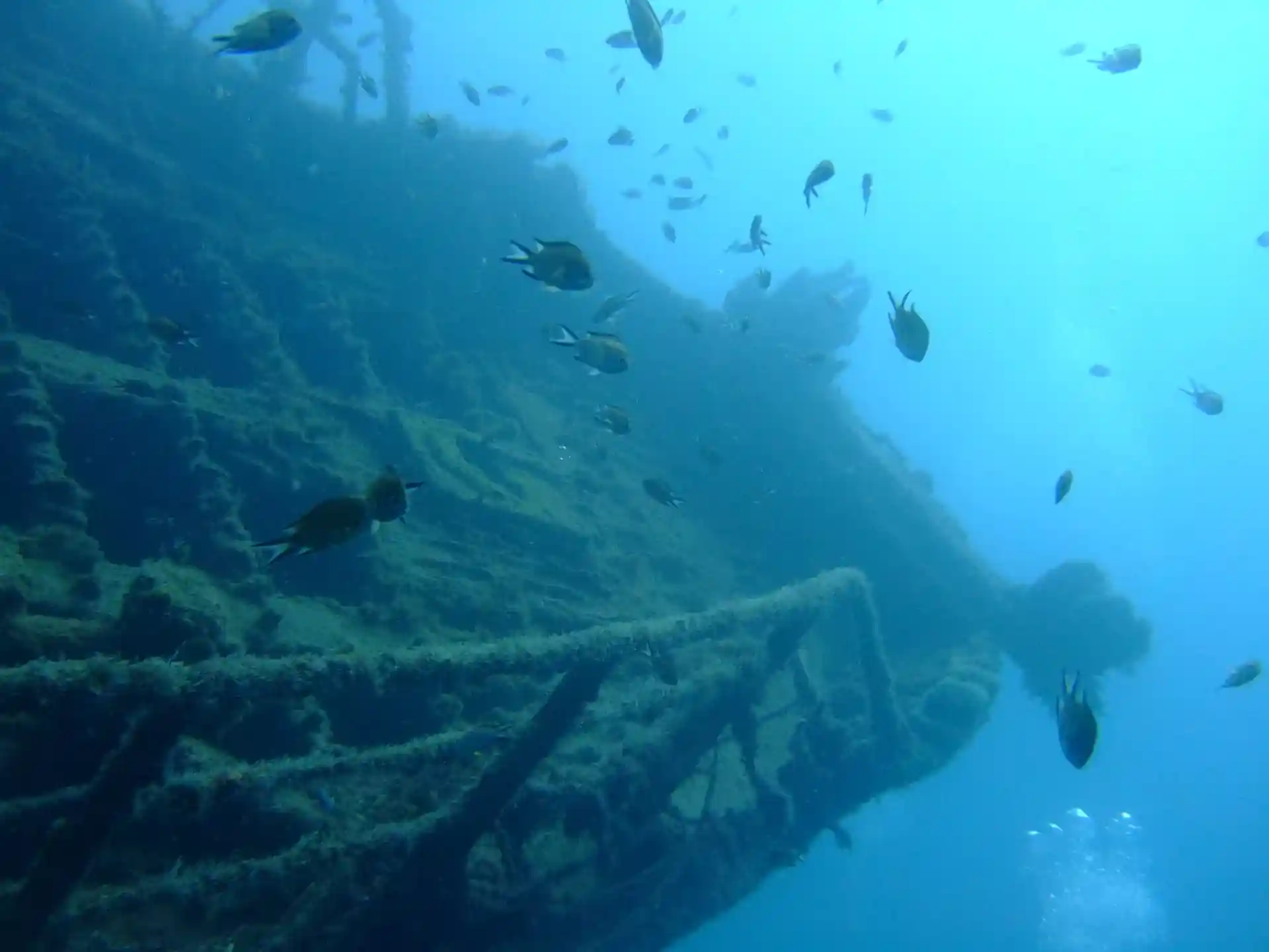 Perché non un'immersione su un relitto