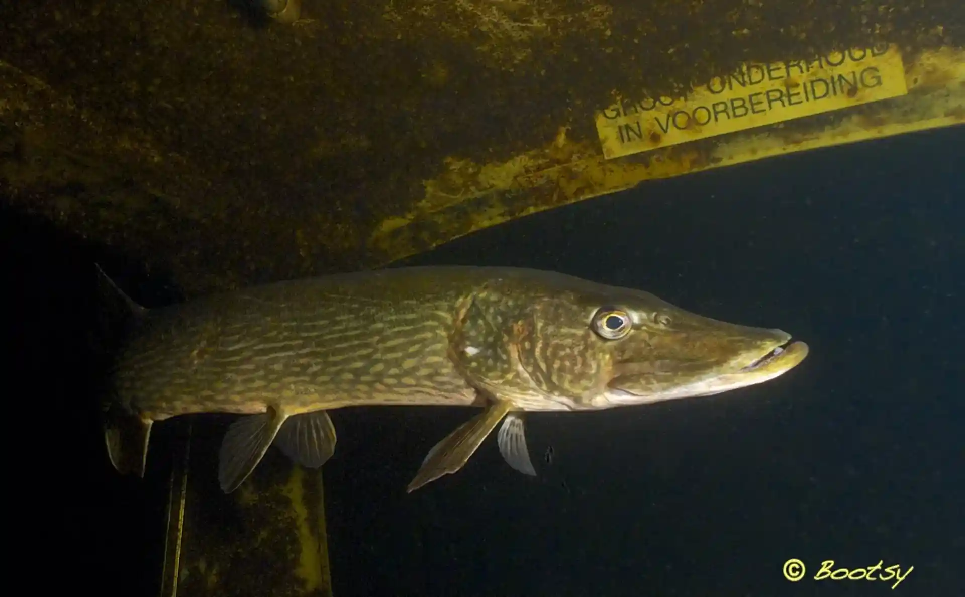 Dive site photo