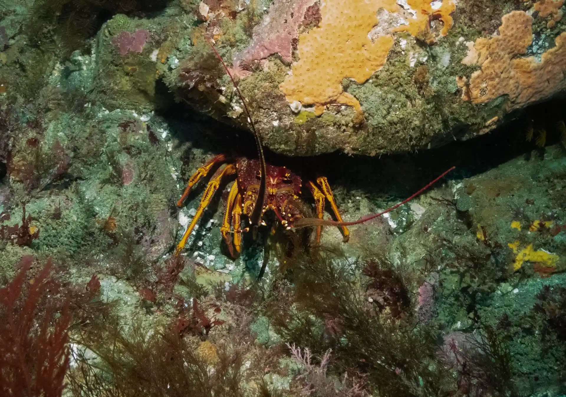 Dive site photo