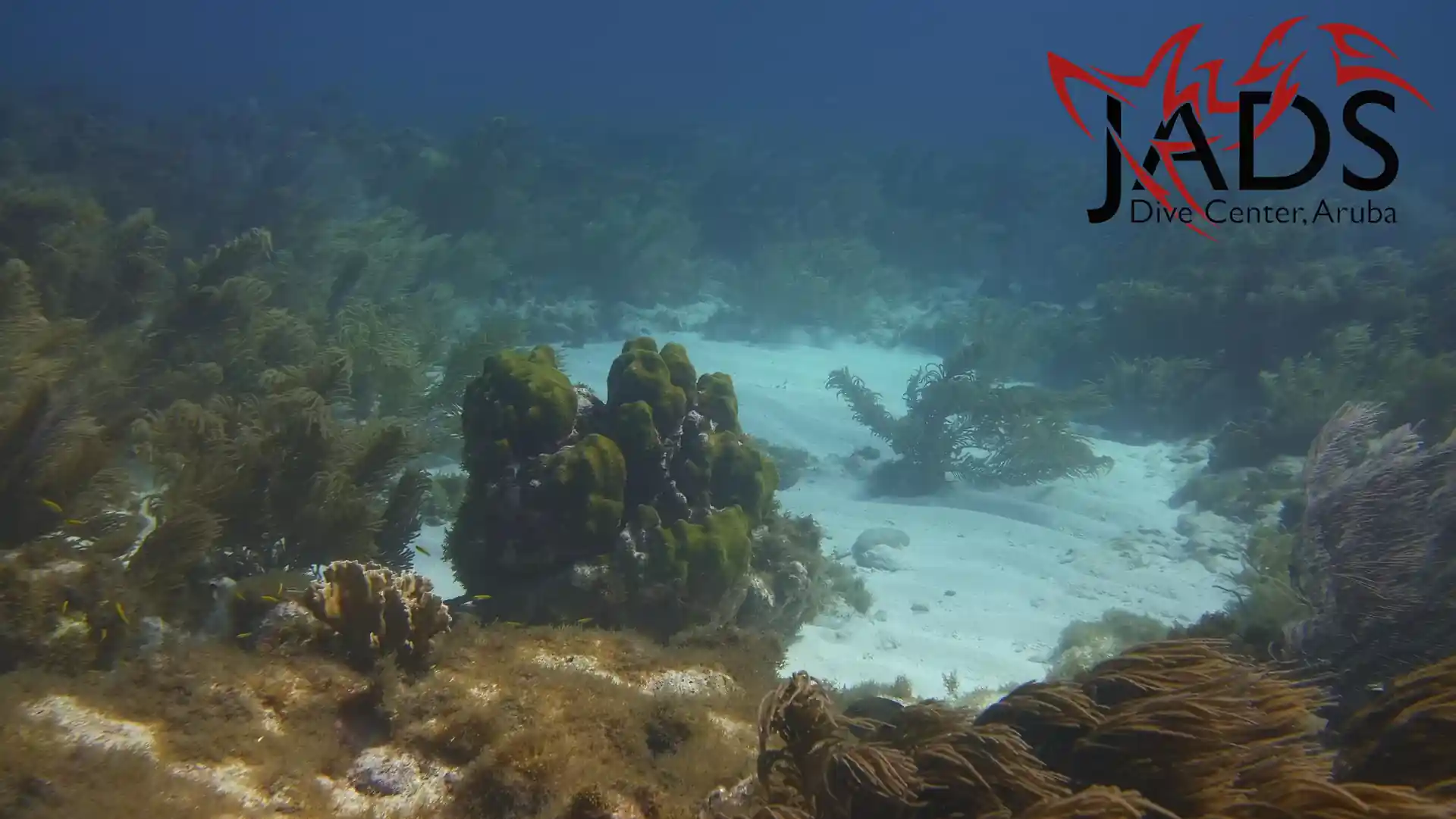 Foto del sitio de buceo