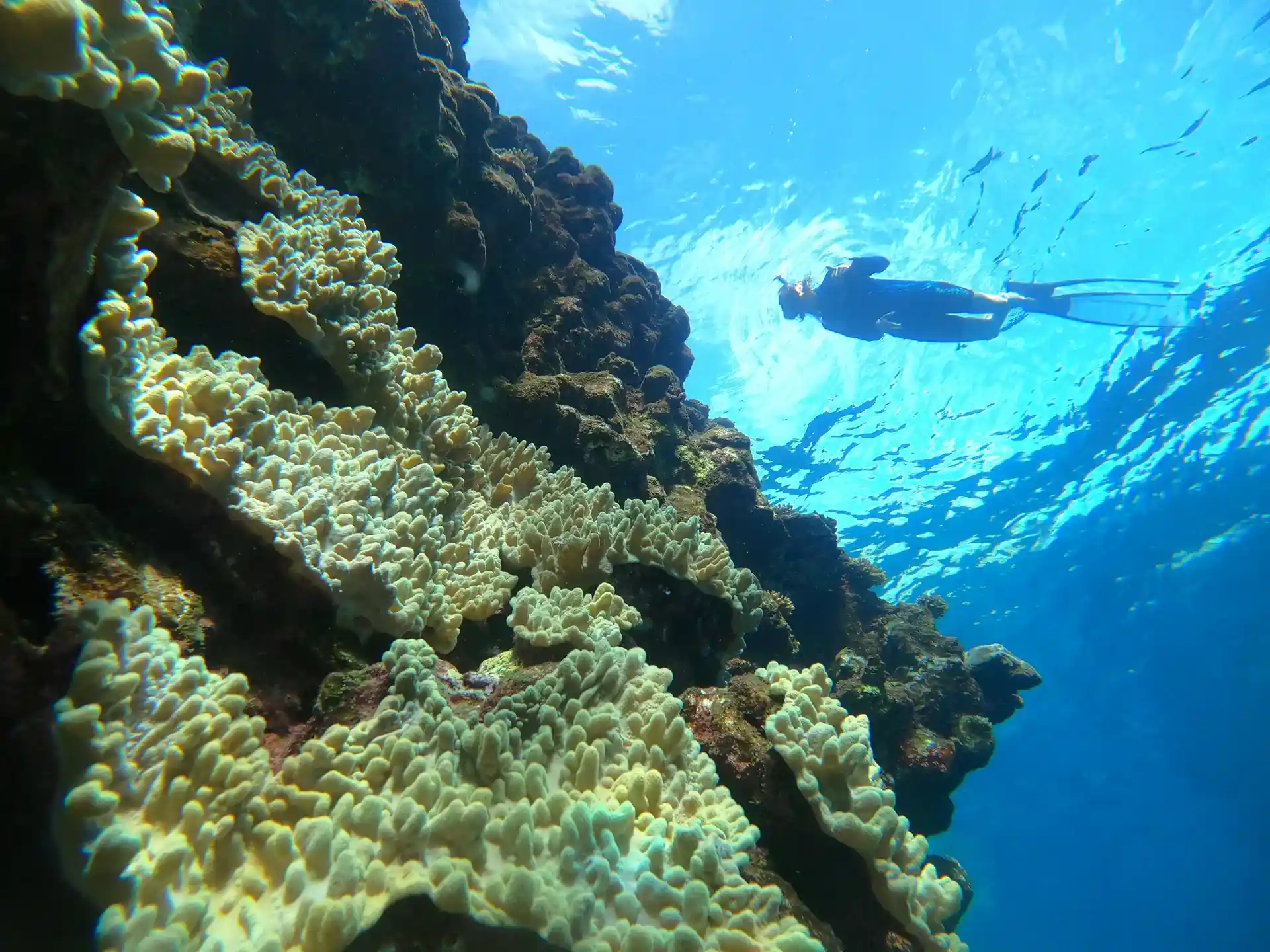 다이빙 포인트 사진