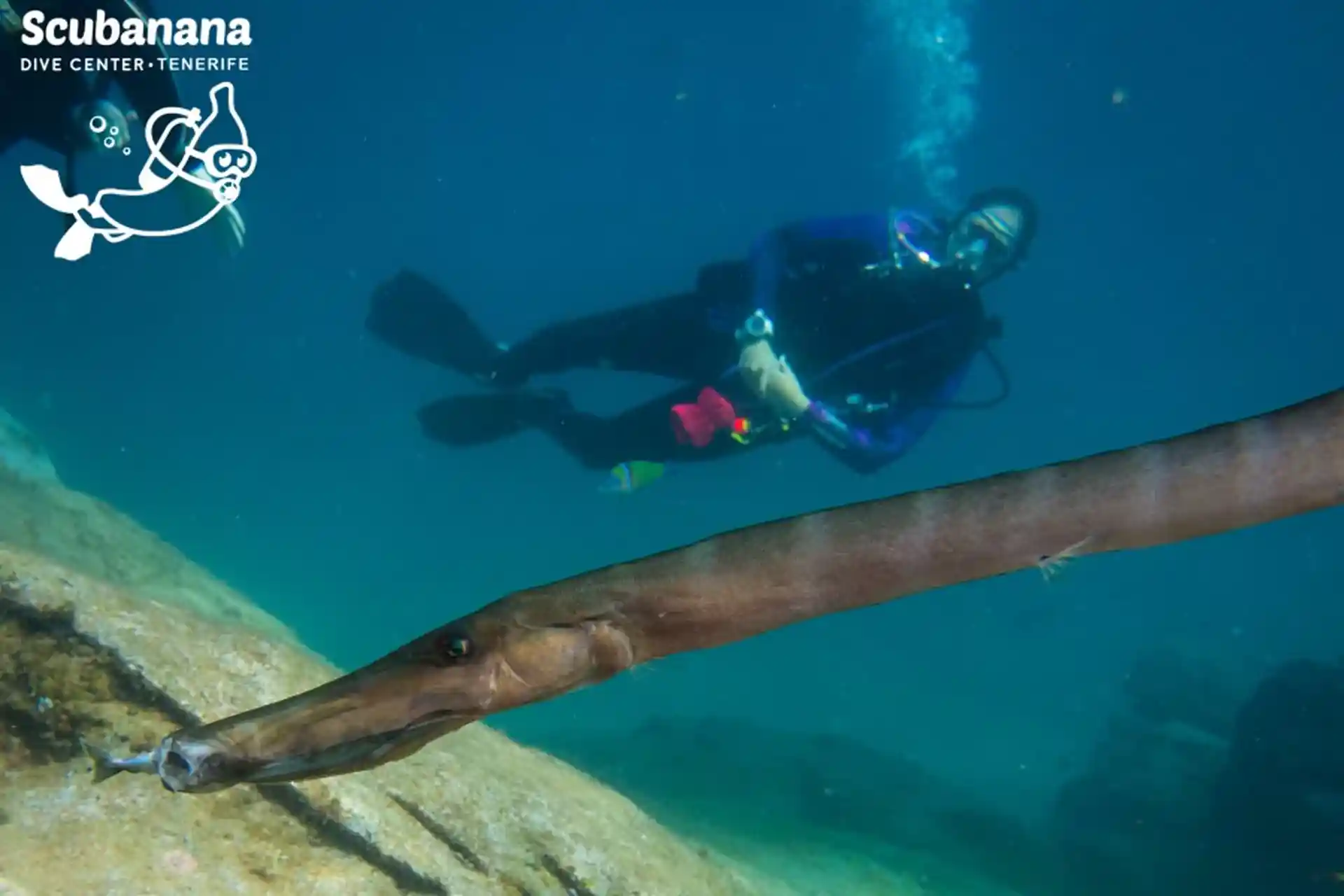 Foto de la actividad