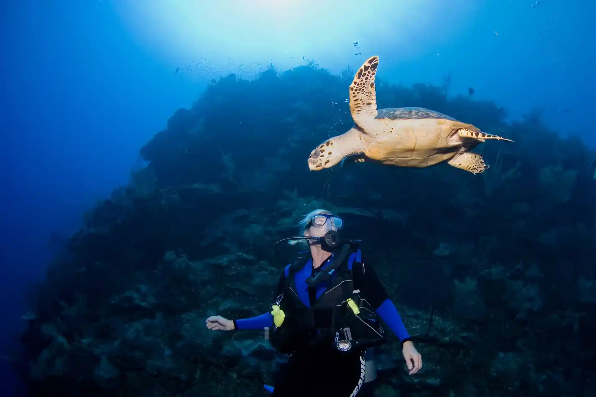 Dive site photo