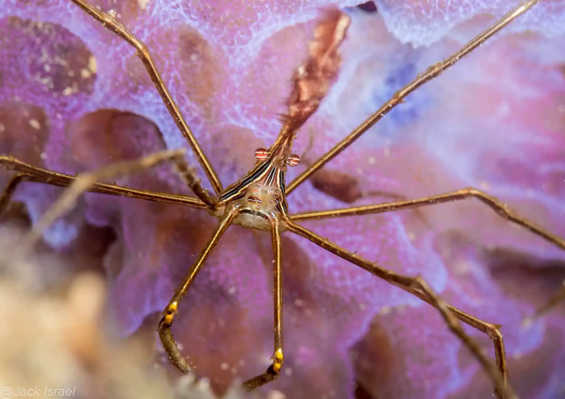 Foto des Tauchplatzes