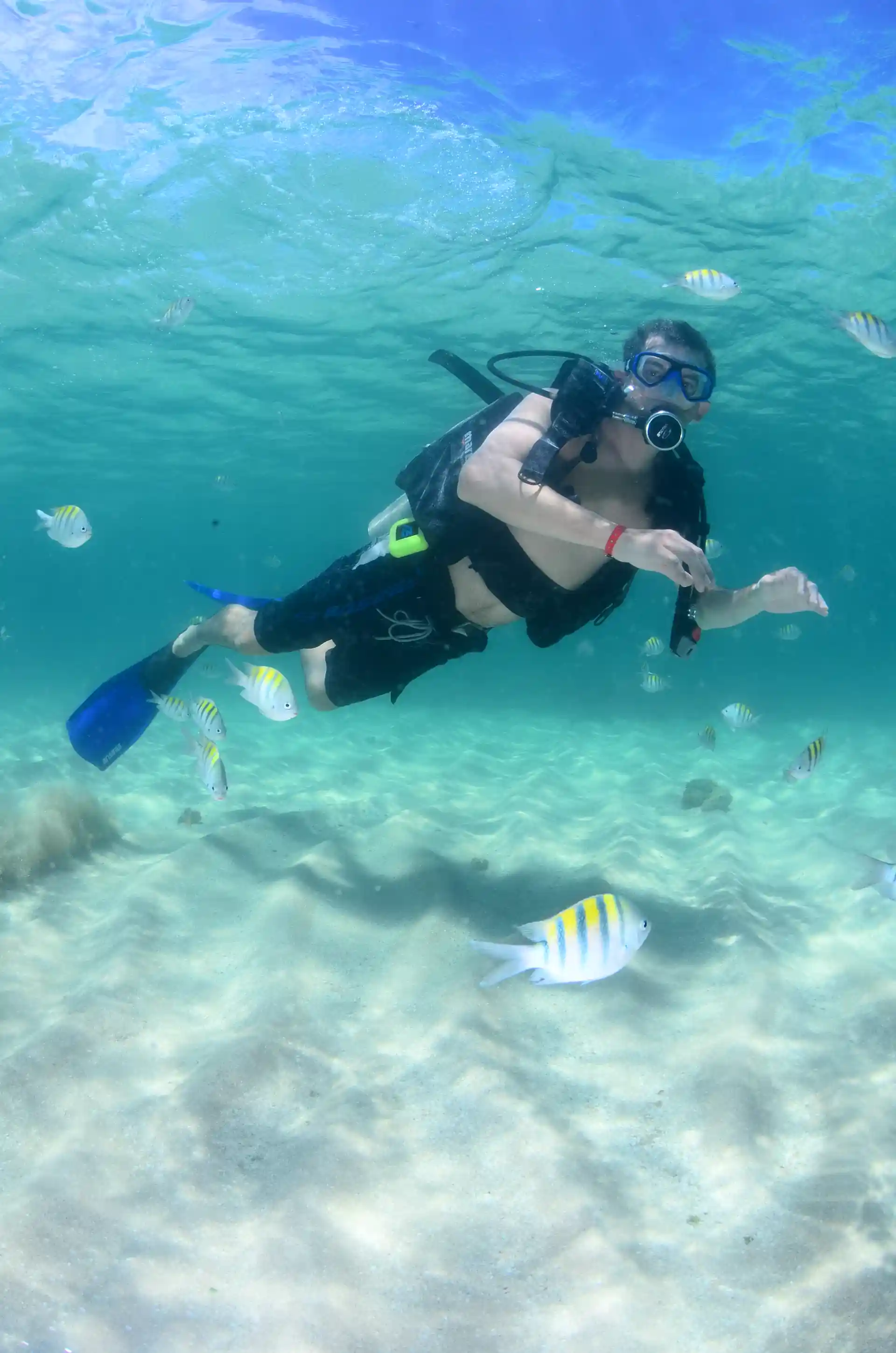 Dive shop photo