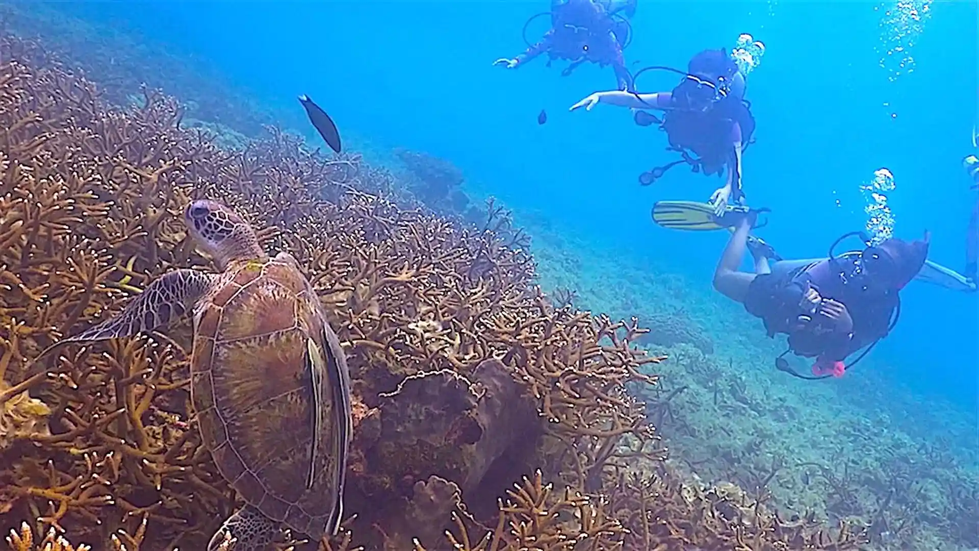 Dive site photo