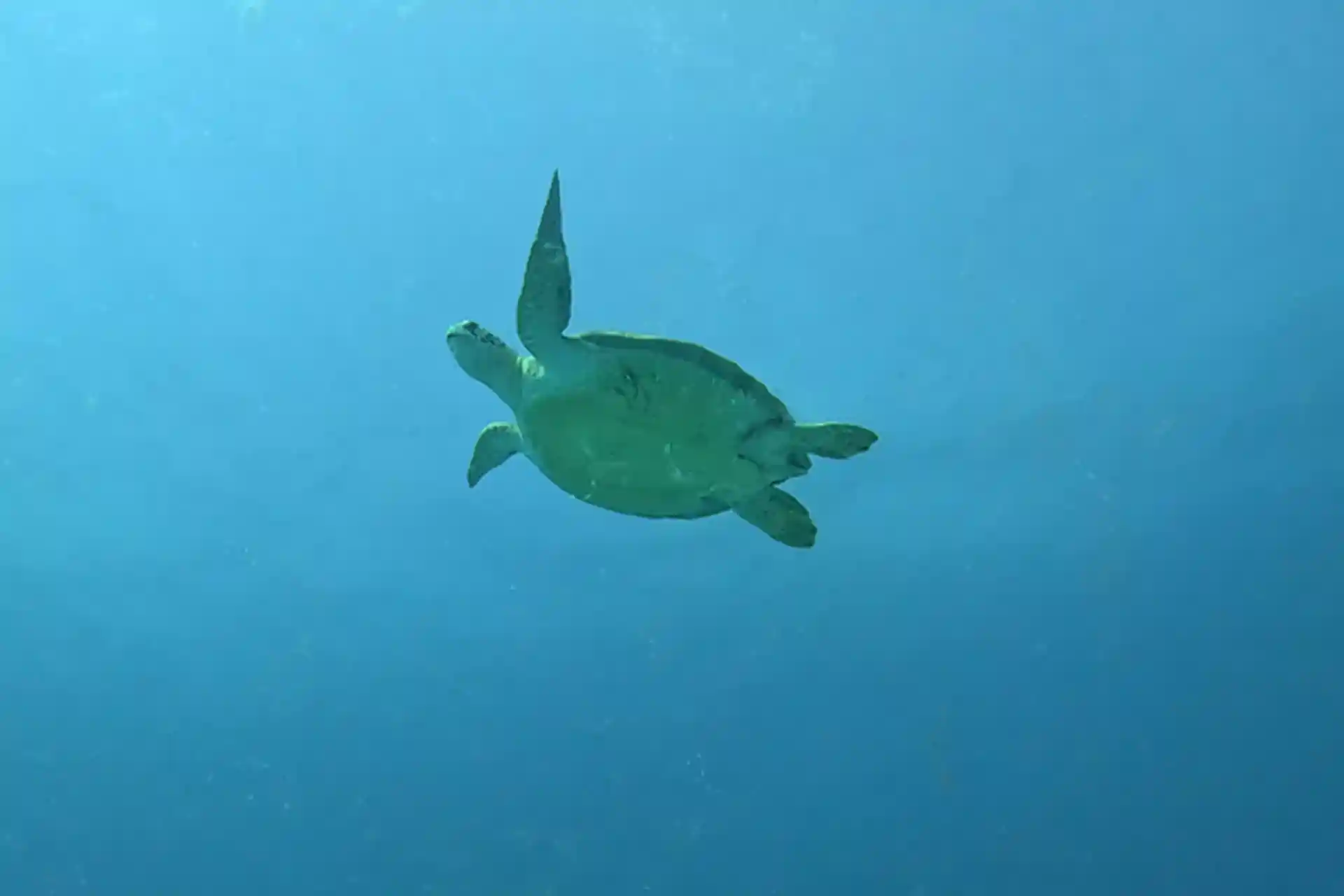 活动照片